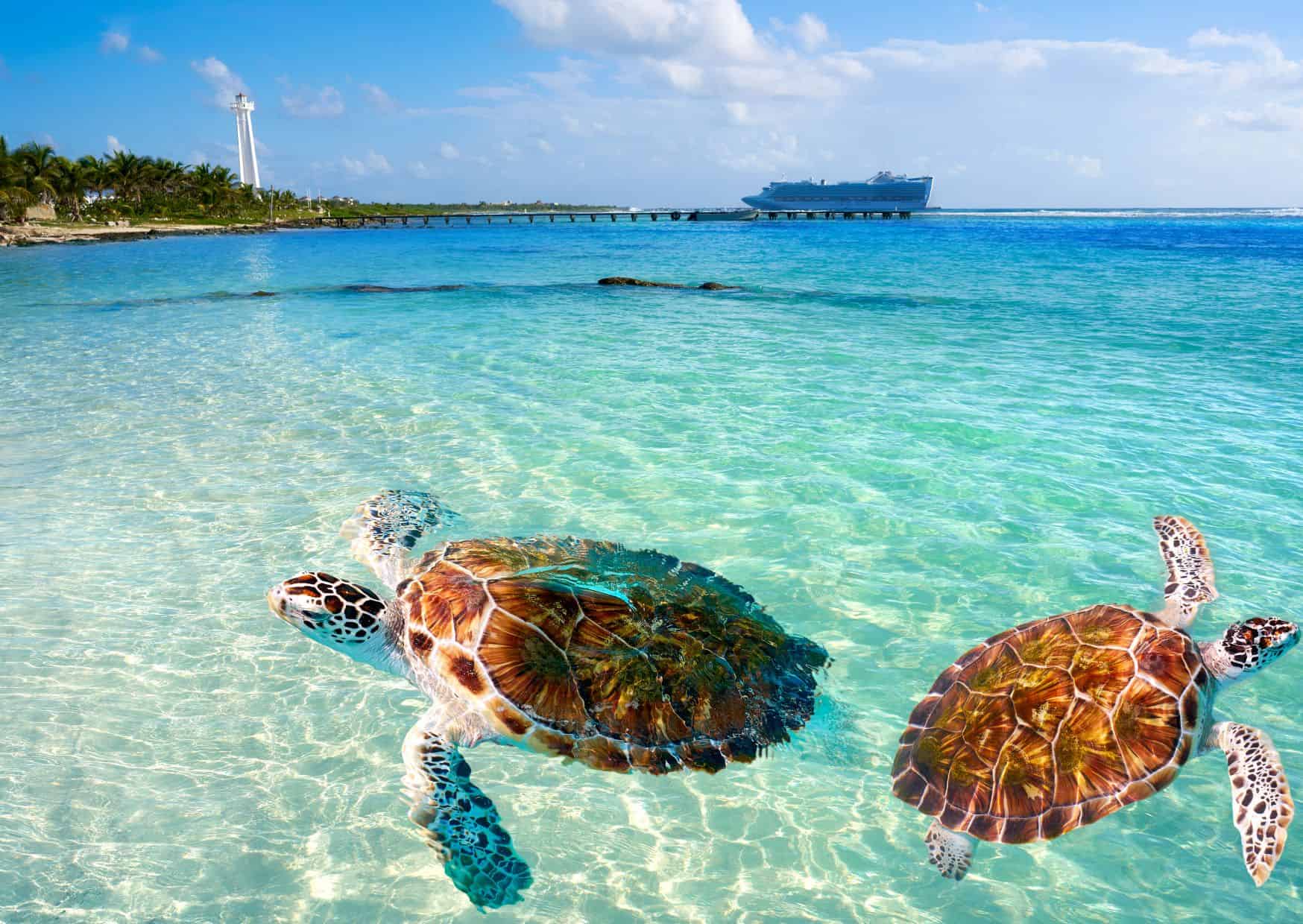 What Visitors Keep Getting Wrong at Caribbean Beaches: 20 Caribbean Beach Habits That Confuse Visitors 4 USA 22