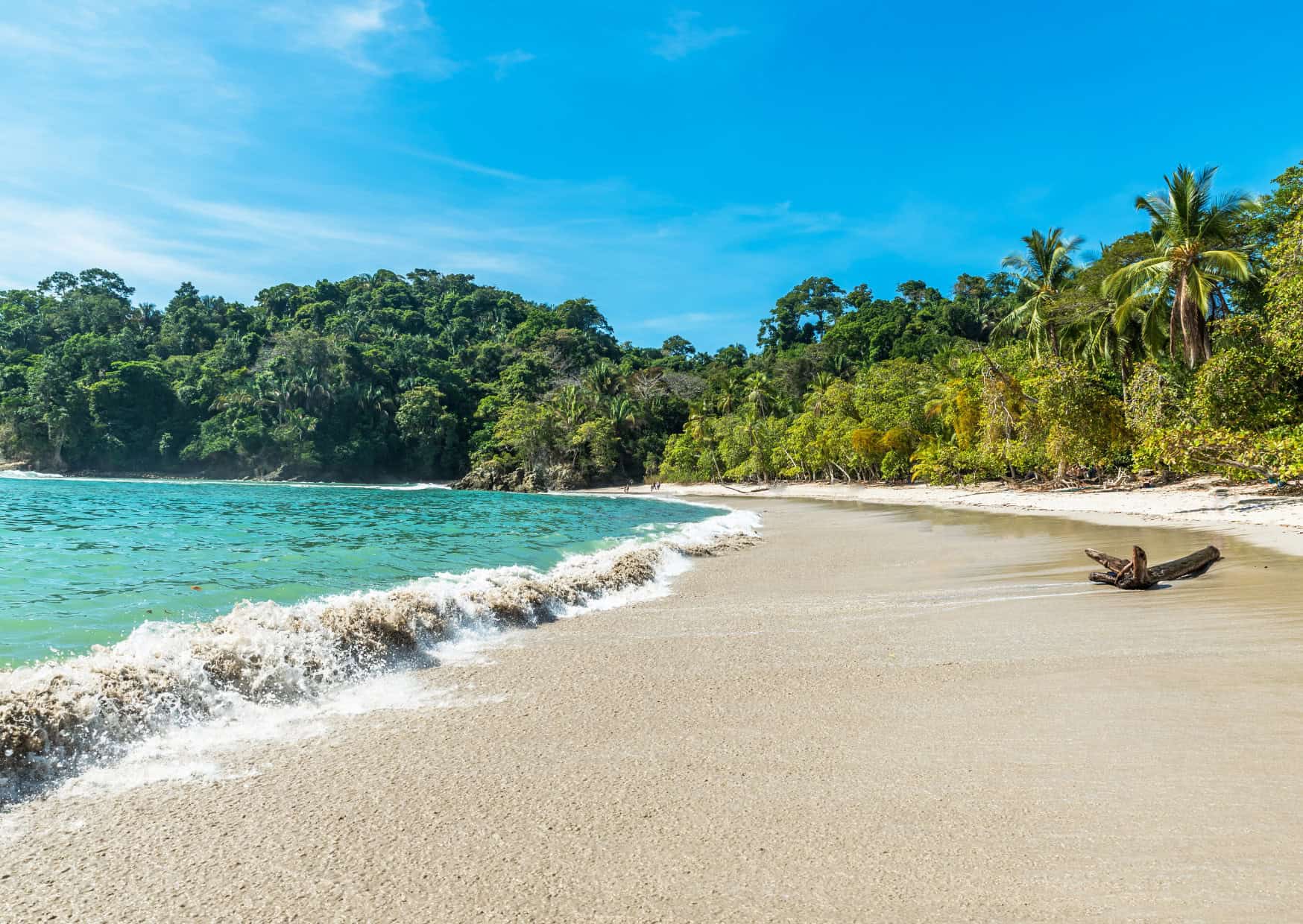Tourists Are Ruining Costa Rica: 7 Tourist Behaviors That Are Making Costa Ricans Resent Visitors 3 7 Ways Youre Ruining Your Costa Rica Trip 3
