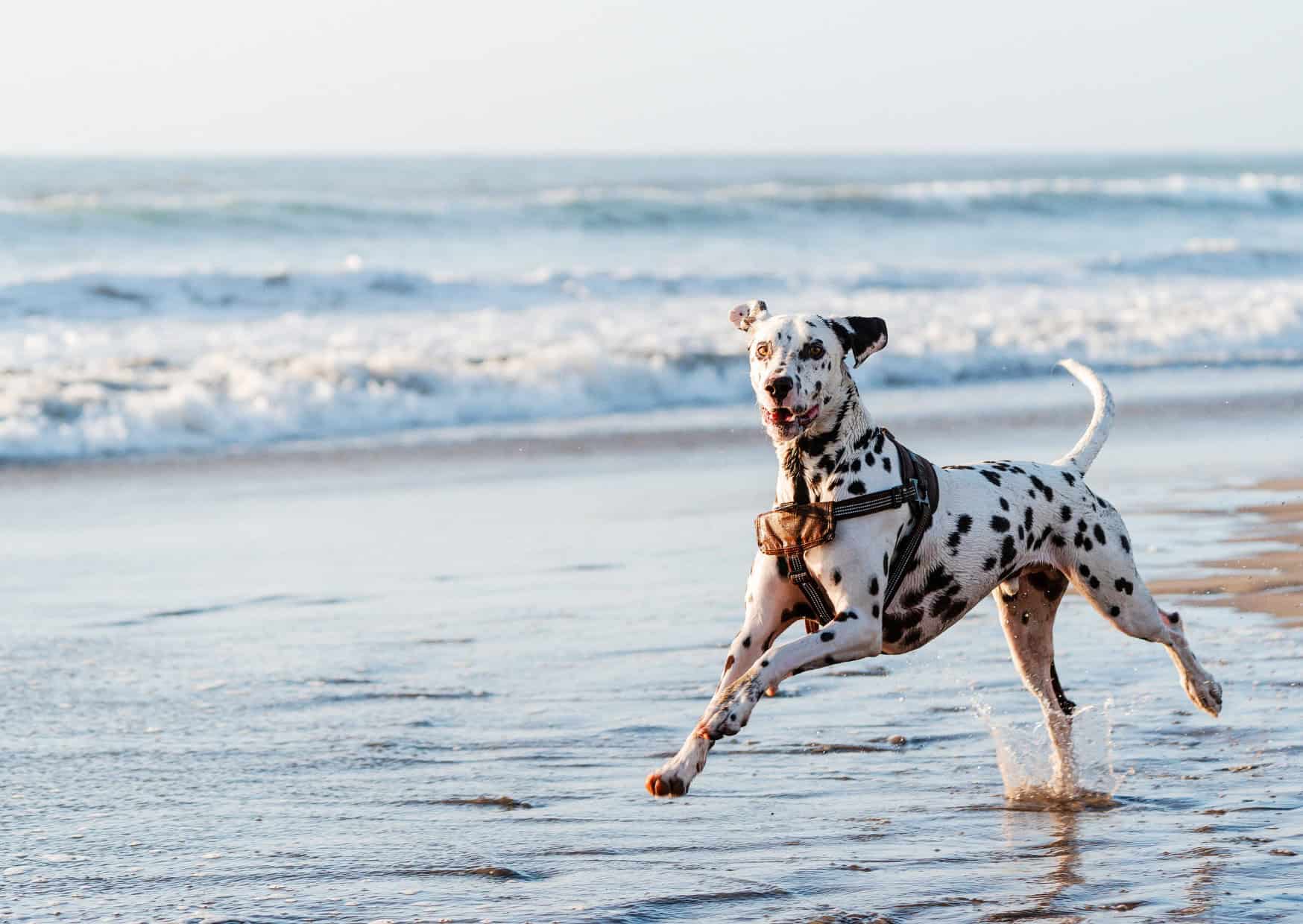 9 Ways to Accidentally Offend Locals at the Beach in Europe 8 Beach Etiquette Wars 9 Coastal Customs That Divide European Countries 8