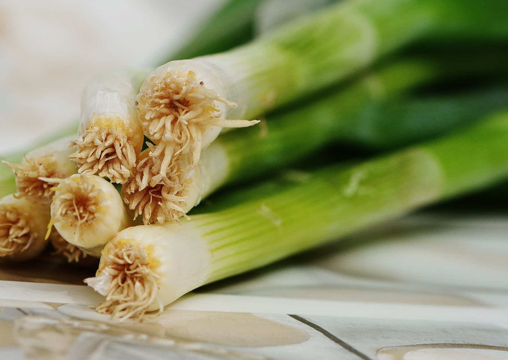 The Belgian Tart That Makes Regular Quiche Feel Boring: Traditional Belgian Leek Tart Recipe 2 How to Make Belgian Leek Tart (Flamiche aux Poireaux) – Recipe Guide