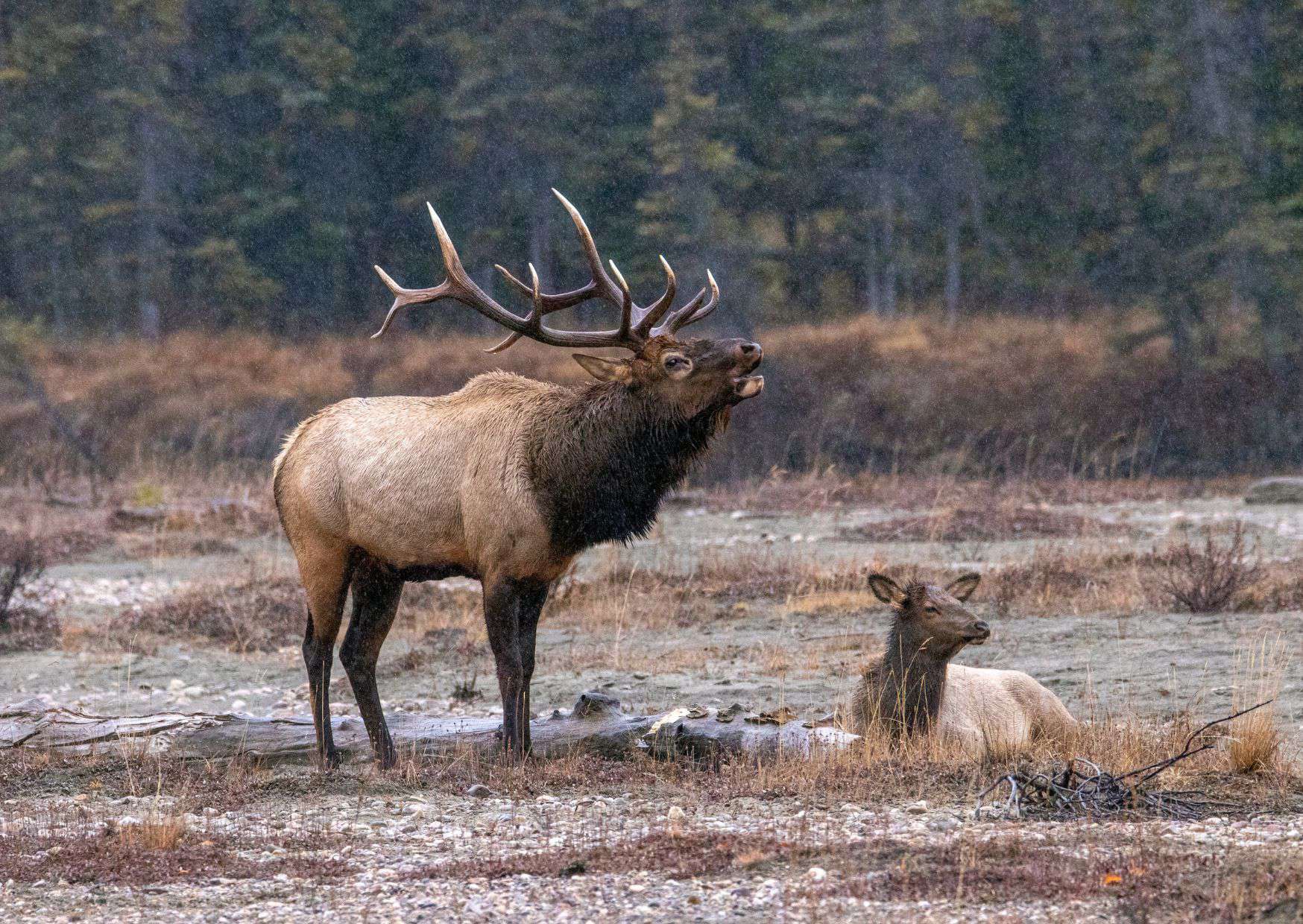 20 Unspoken Rules of Canadian Life Every Foreigner Should Know 5 20 Unspoken Rules of Canadian Life That Tourists Often Don’t Understand