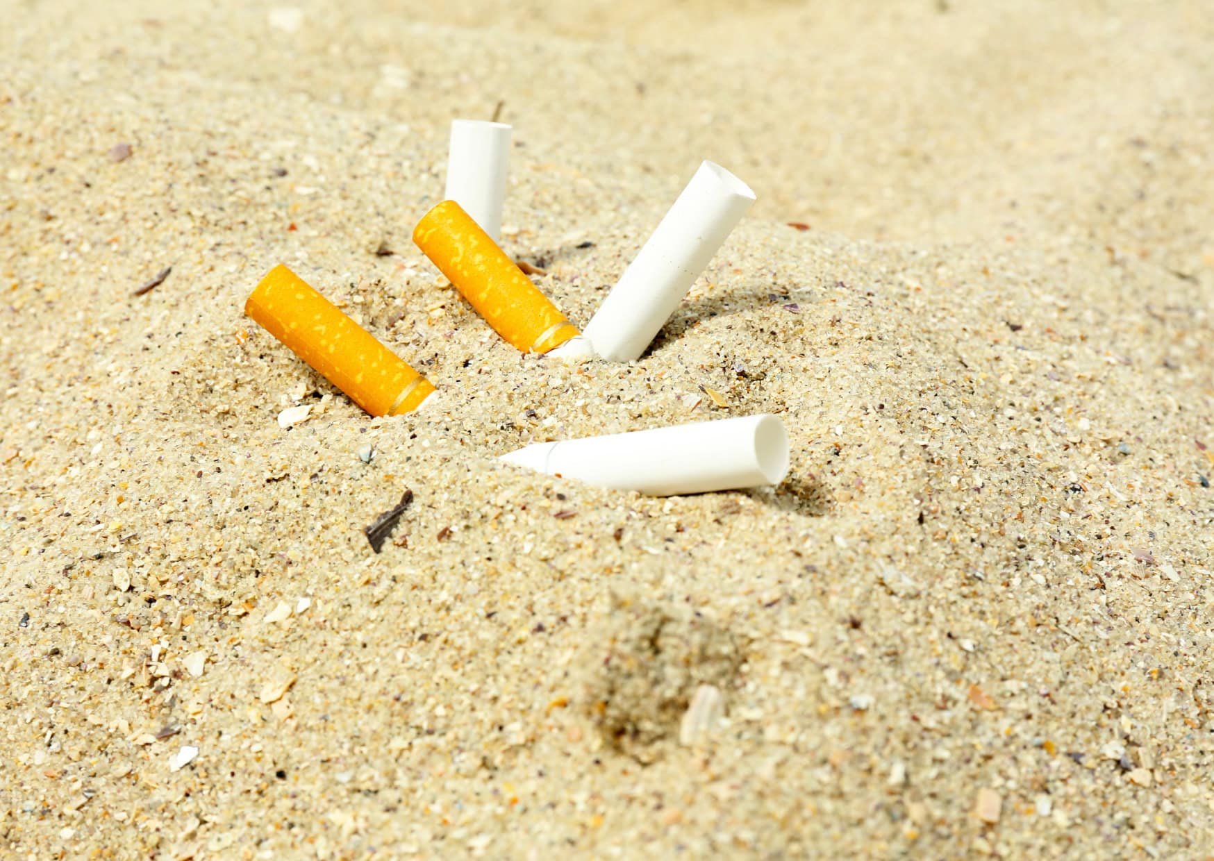Going to the Beach in Italy? If You Do These 7 Things on an Italian Beach, Locals Will Avoid You 7 Beach Behaviors That Make Locals Avoid You in Italy