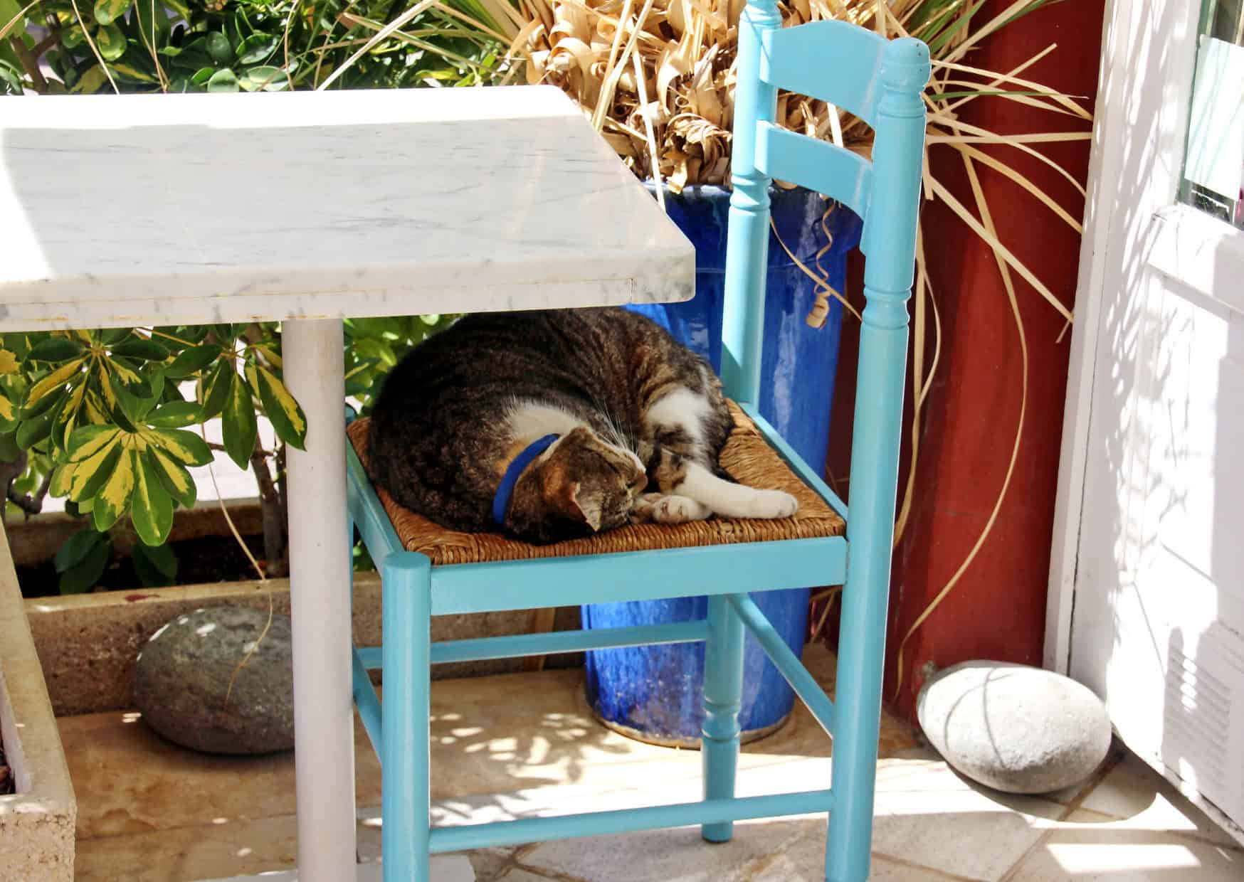 Why Tourists Get Spain’s Siesta Completely Wrong (8 Daily Life Truths) 1 The Truth About Siesta