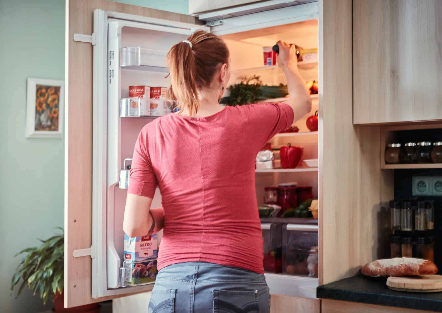 Why Europeans' Small Refrigerators Are Actually Brilliant 1 Why Europeans Small Refrigerators Are Actually Brilliant