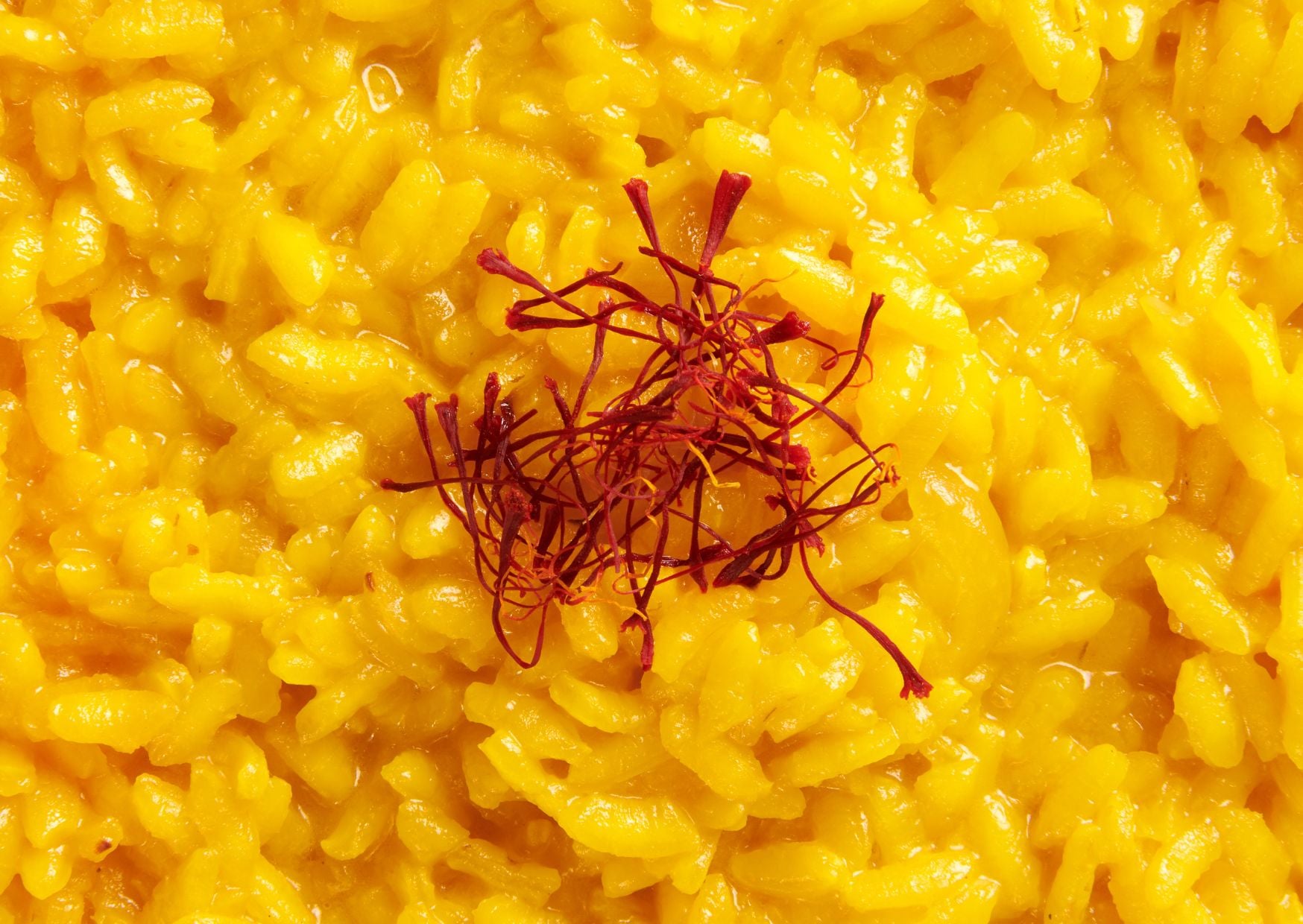 Forget Beef Stew: How To Make Ossobuco alla Milanese with Saffron Risotto 4 Ossobuco alla Milanese with Saffron Risotto 2