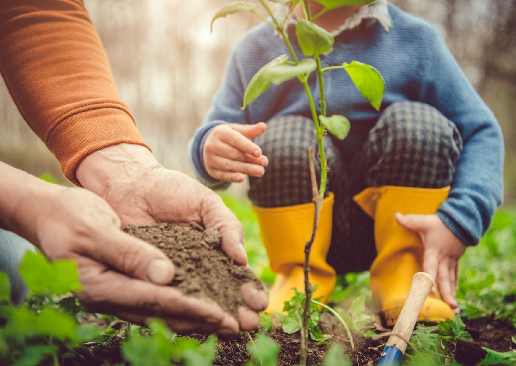 Earth Day Around the World: How Different Cultures Celebrate Nature 3 earth day 3