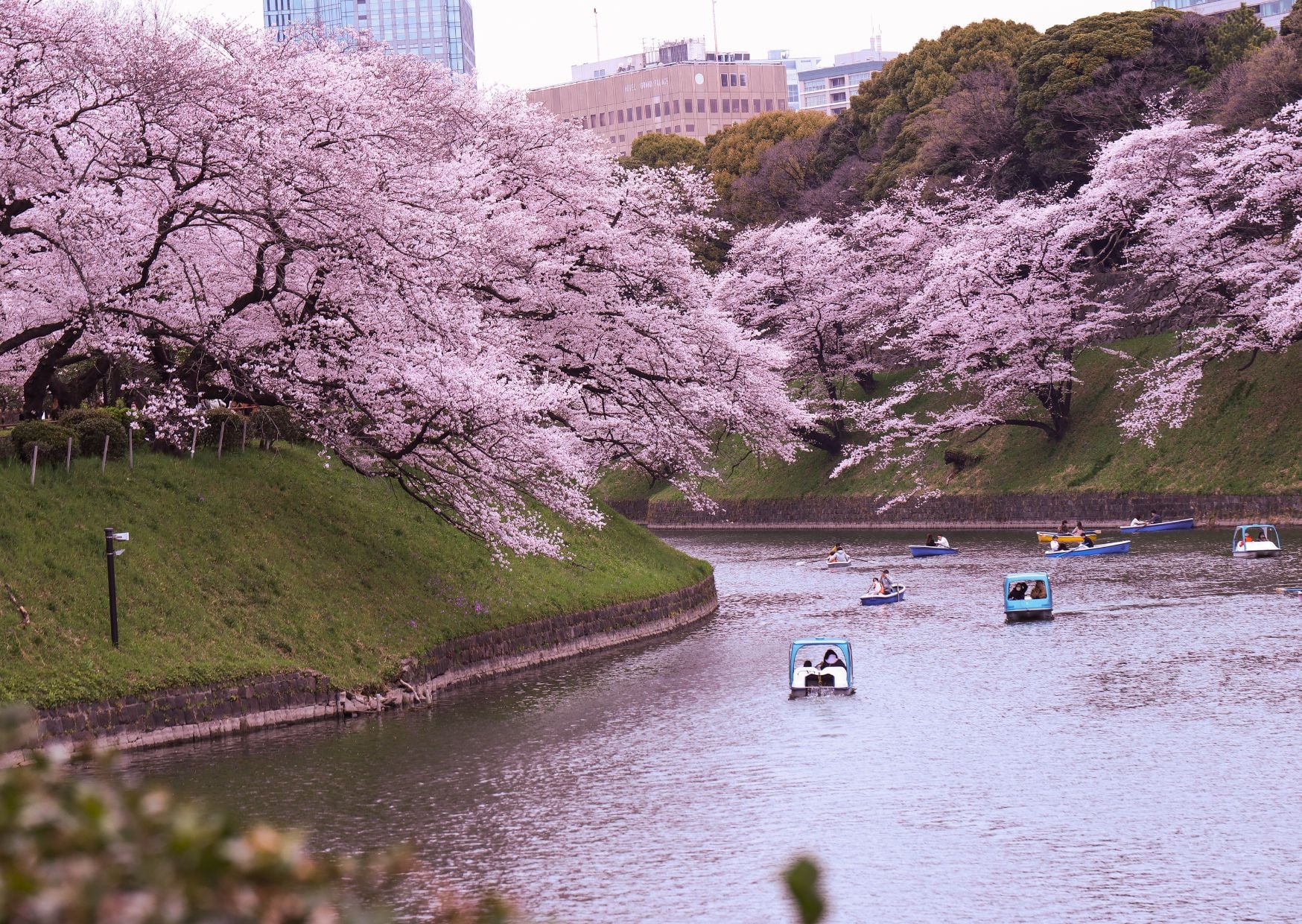 Earth Day Around the World: How Different Cultures Celebrate Nature 4 earth day 4