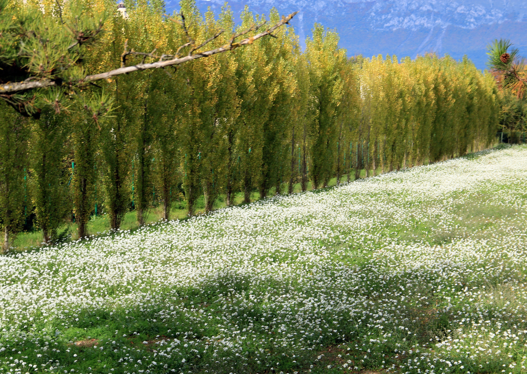 These Italian Regions Are Paying Americans to Relocate But Who Really Benefits? 5 Abruzzo Italian Regions