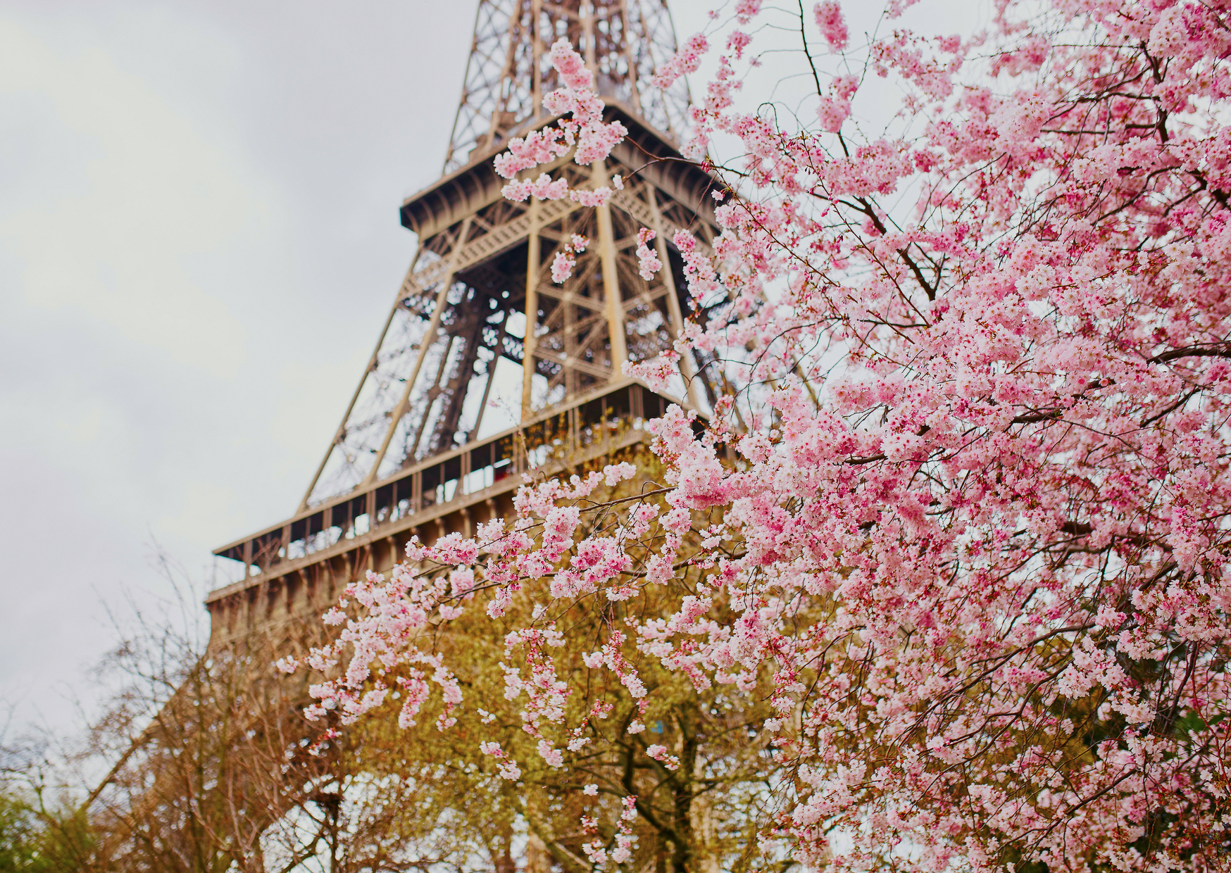 The Visa Loophole That Lets Americans Build a Long-Term Life in France 1 French Visa Program That Lets Americans Stay Indefinitely