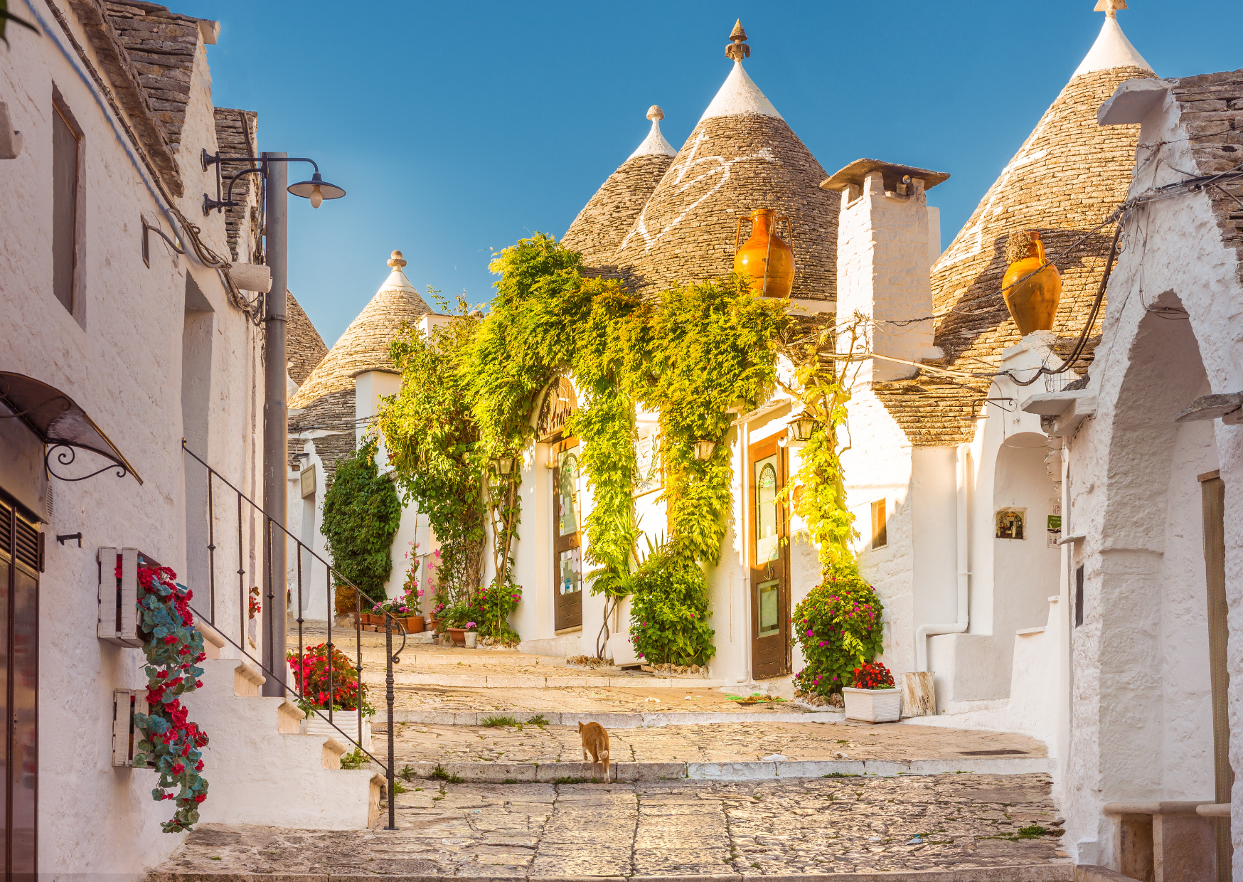 Why the Italy Retirement Fantasy Falls Apart for Some Americans Within Two Years 7 Puglia Italy Italian Regions