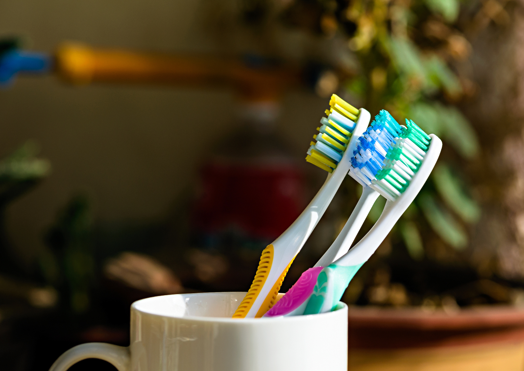 The Toothbrush Rule Germans Follow That Would Make Americans Gag 1 Toothbrush Rule Germans Follow 4
