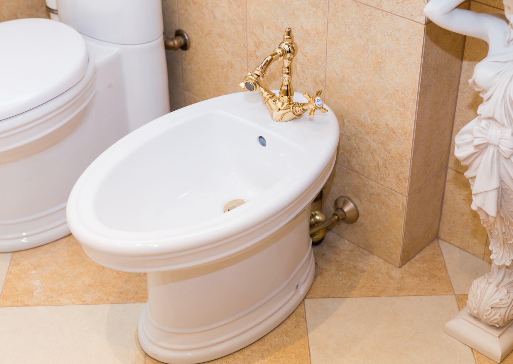 The Shower Habit Americans Mock in Europe Until They See Why People Do It 1 Bidet Temperature Setting French Prefer 6