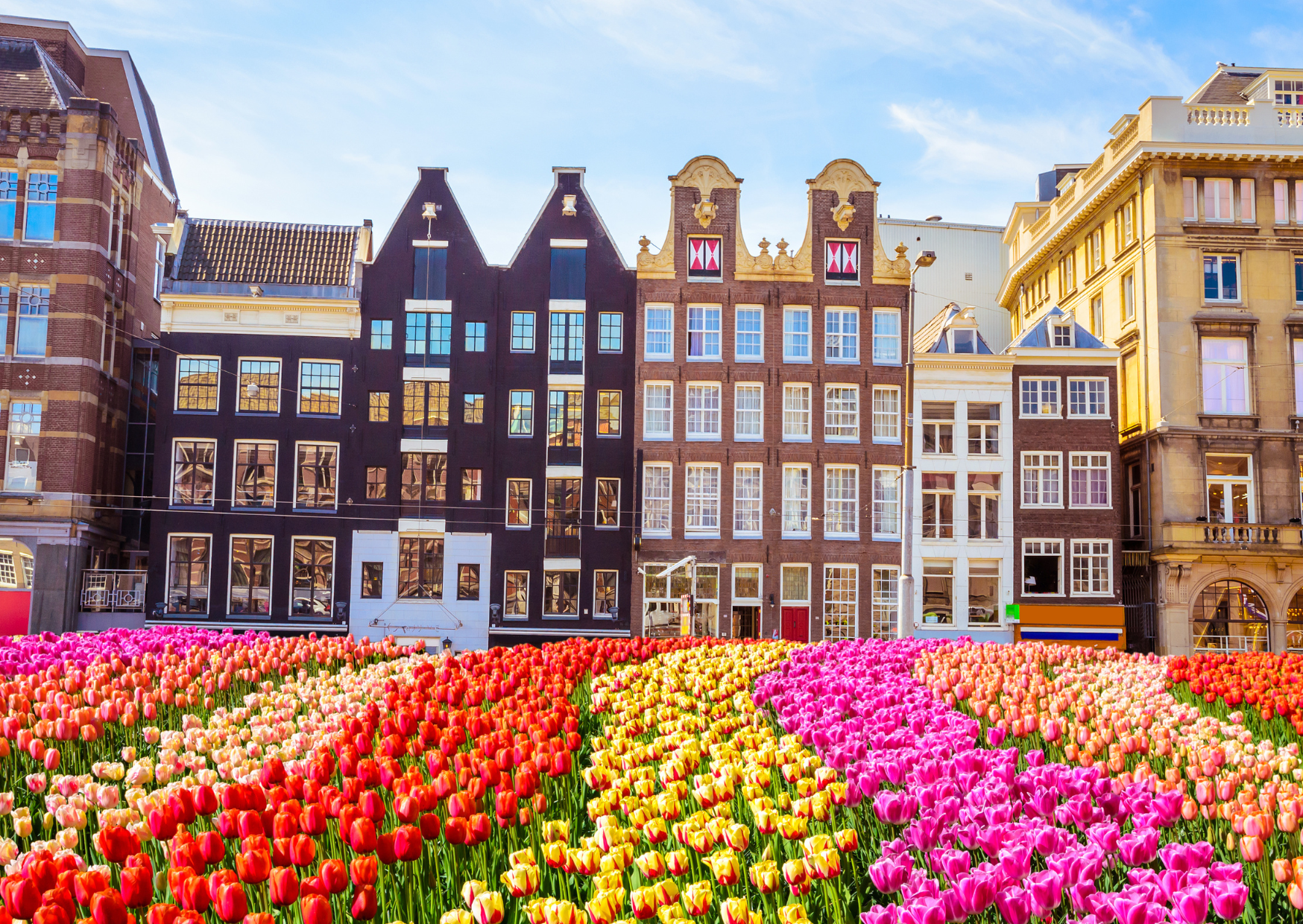 These 7 European Cities Are Tired of Tourists: 7 European Cities Telling Tourists to Go Somewhere Else in 2026 3 Photo Ban in Amsterdam 3