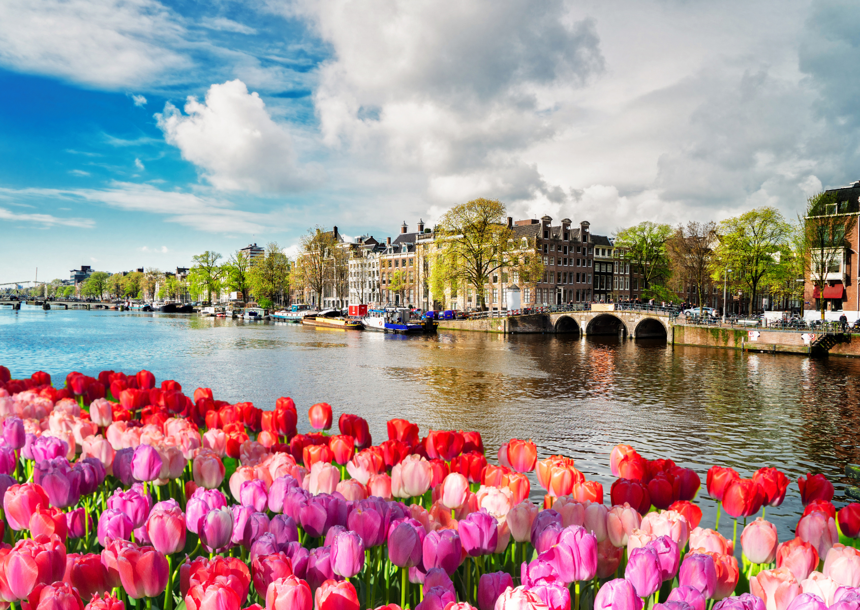 The Amsterdam Photo Ban Tourists Keep Ignoring Until It’s Too Late 4 Photo Ban in Amsterdam 5