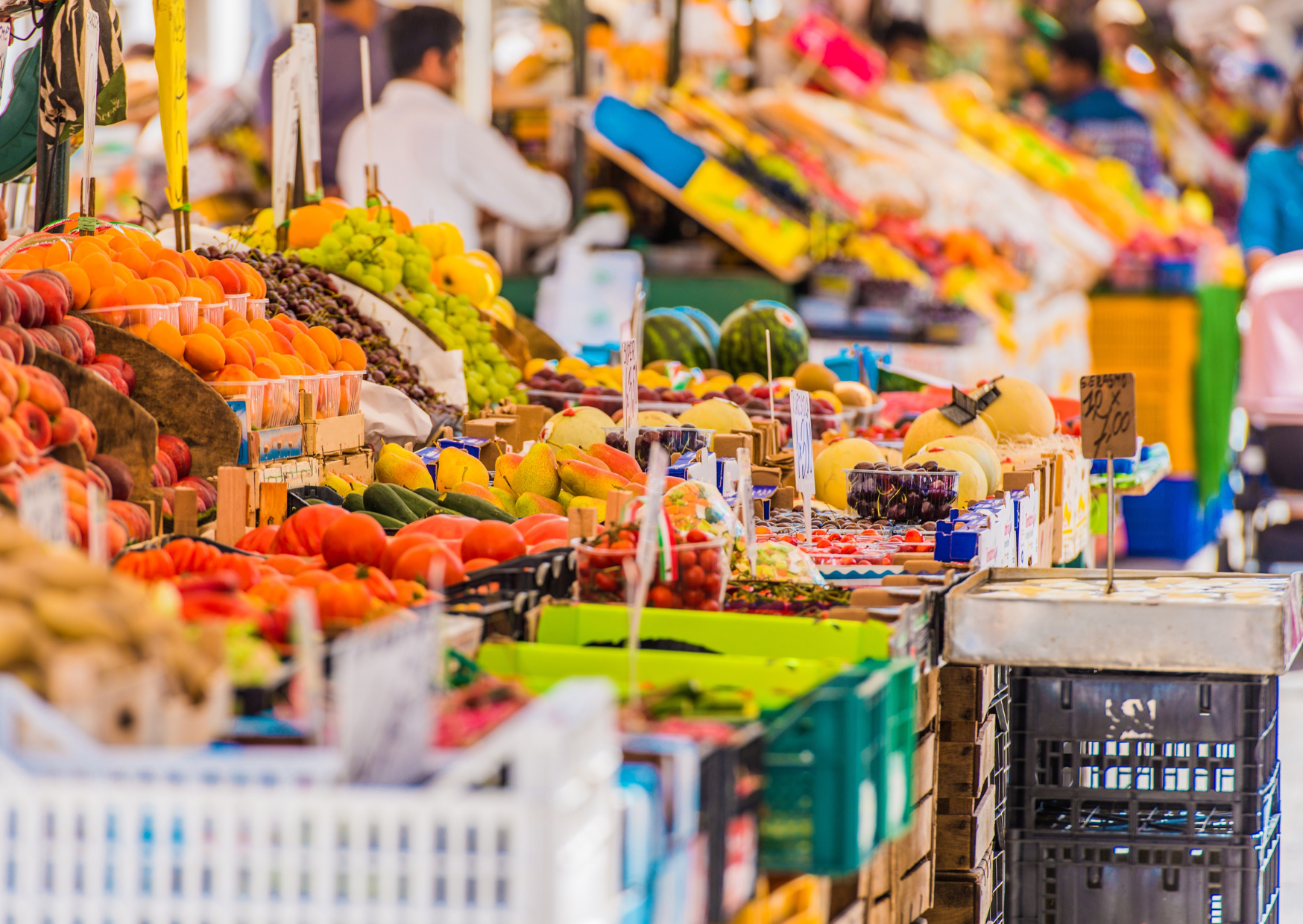 The Market Route in Rome That Feeds Americans for €10 a Day 1 rome markets 2