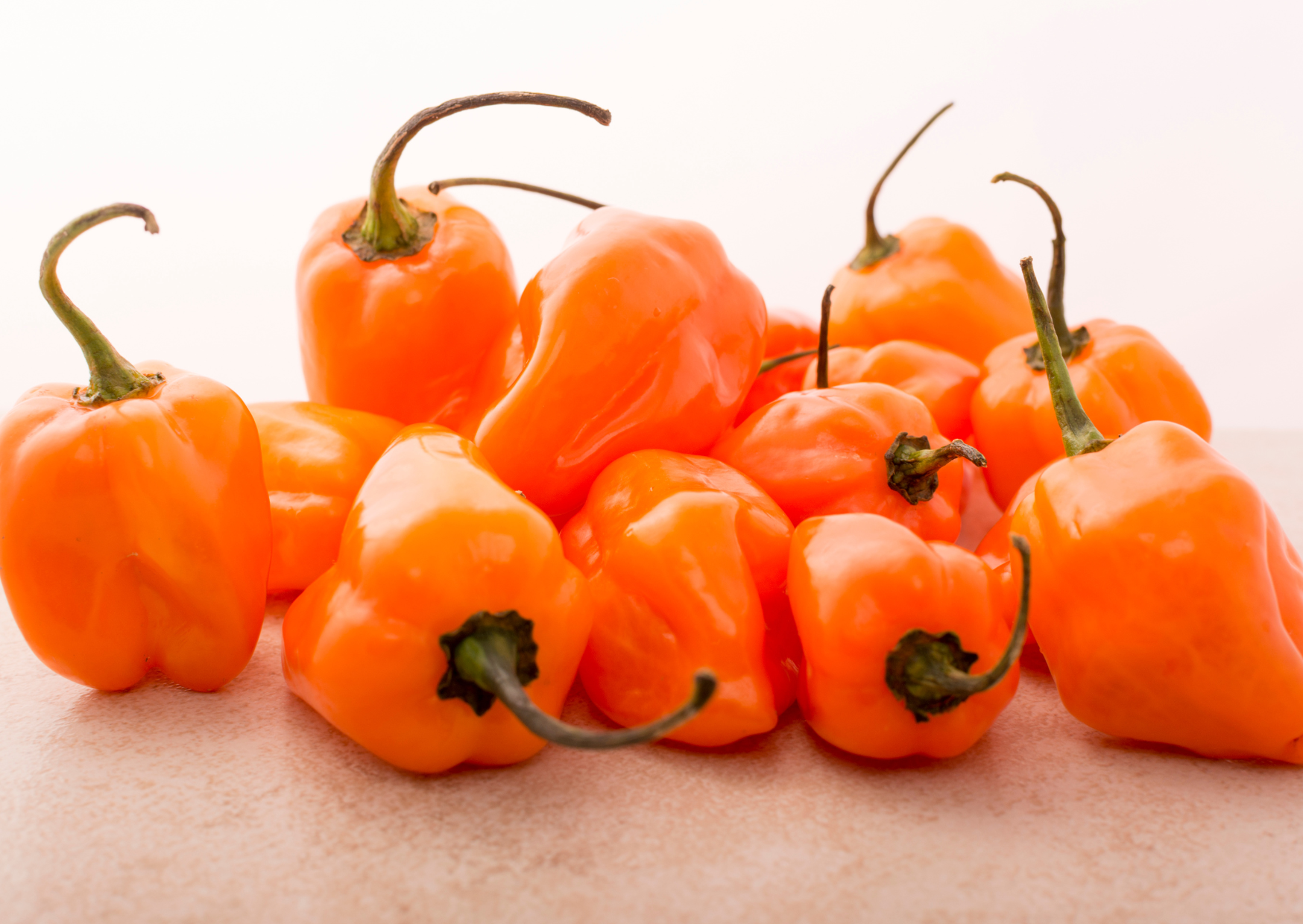 Habanero