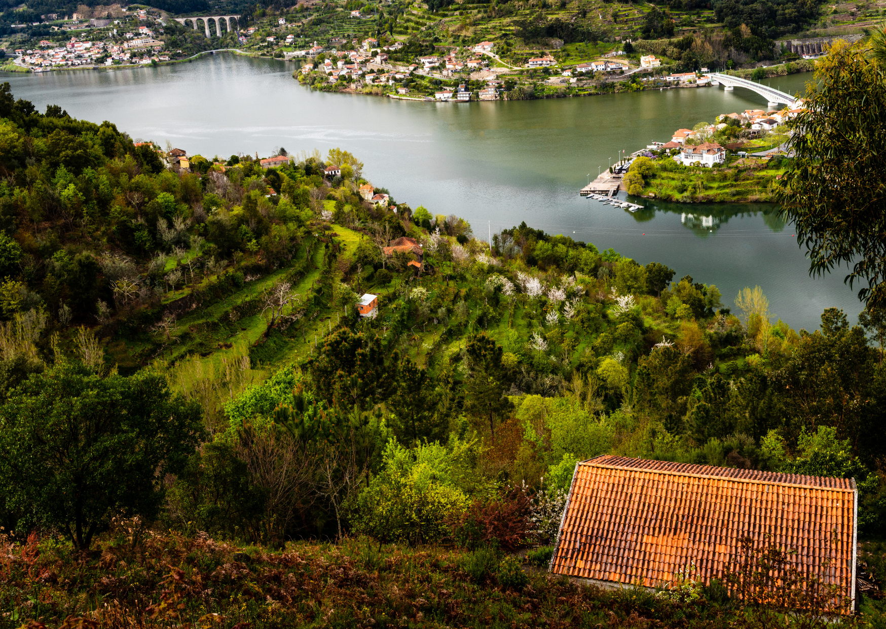 The Controversial Reason More Americans Are Retiring in Portugal for Less Than Rent Back Home: Why Portugal Became the $1,000-a-Month Retirement Escape for Americans 1 Portugal Viseu