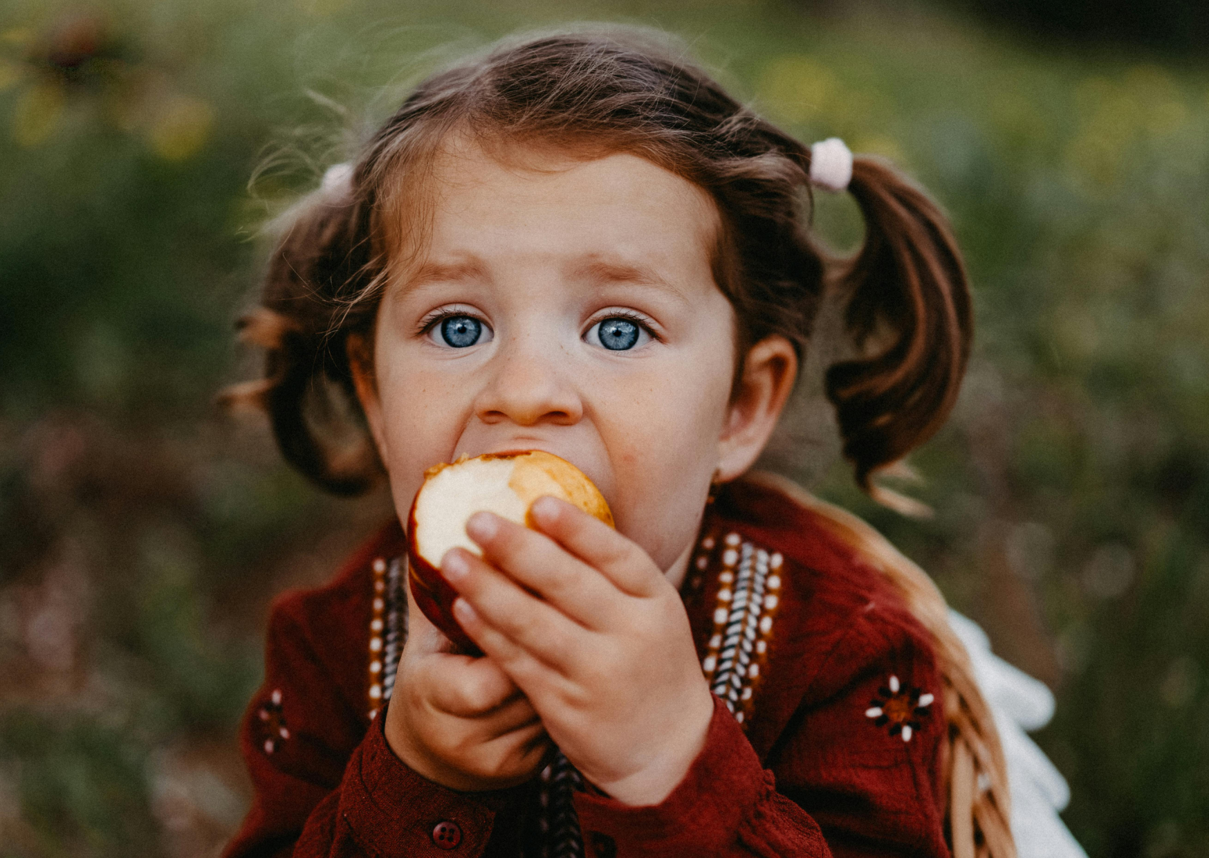 Why French 3-Year-Olds Eat Oysters While American Kids Eat Nuggets 1 french 3 year olds 2