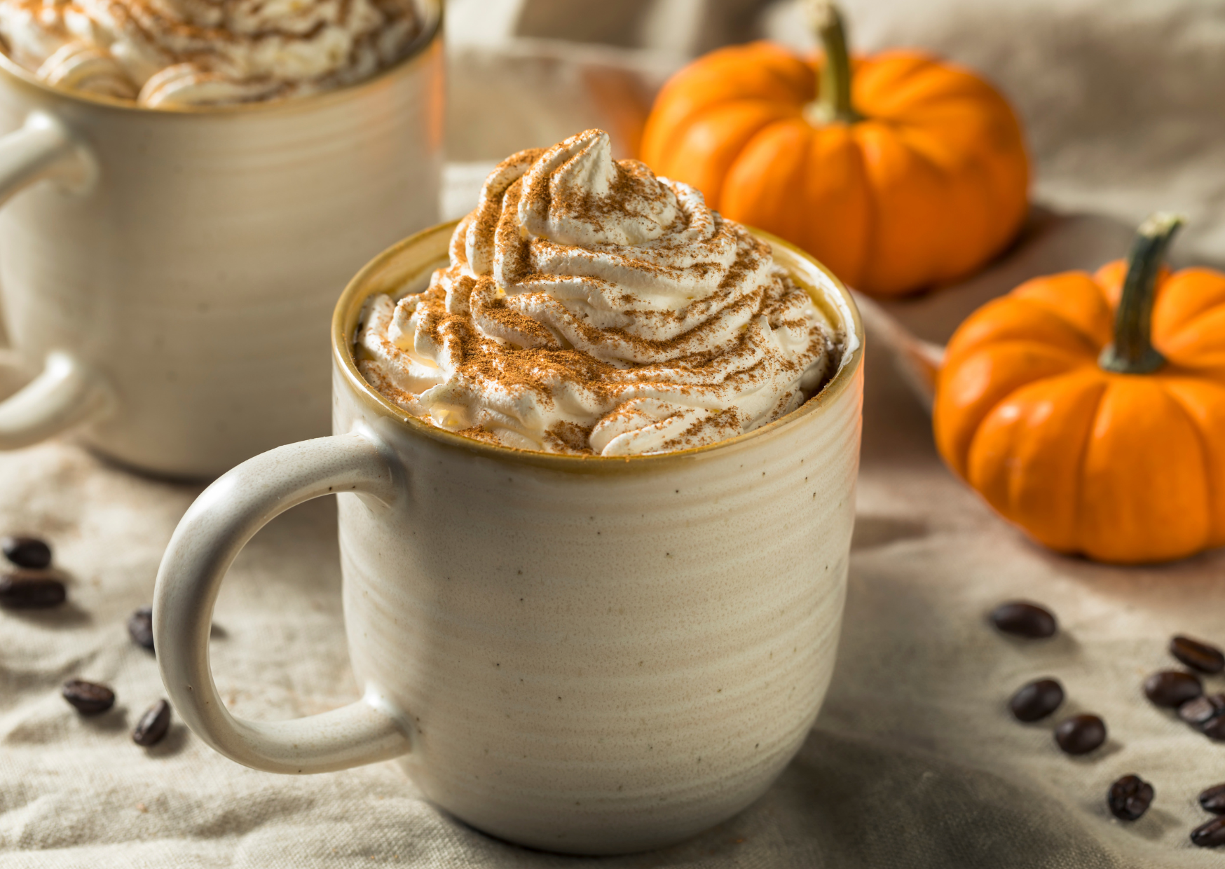 The French Pumpkin Dish That Makes Pumpkin Spice Drinks Look Like Dessert Disguised as a Lifestyle 1 pumpkin spice