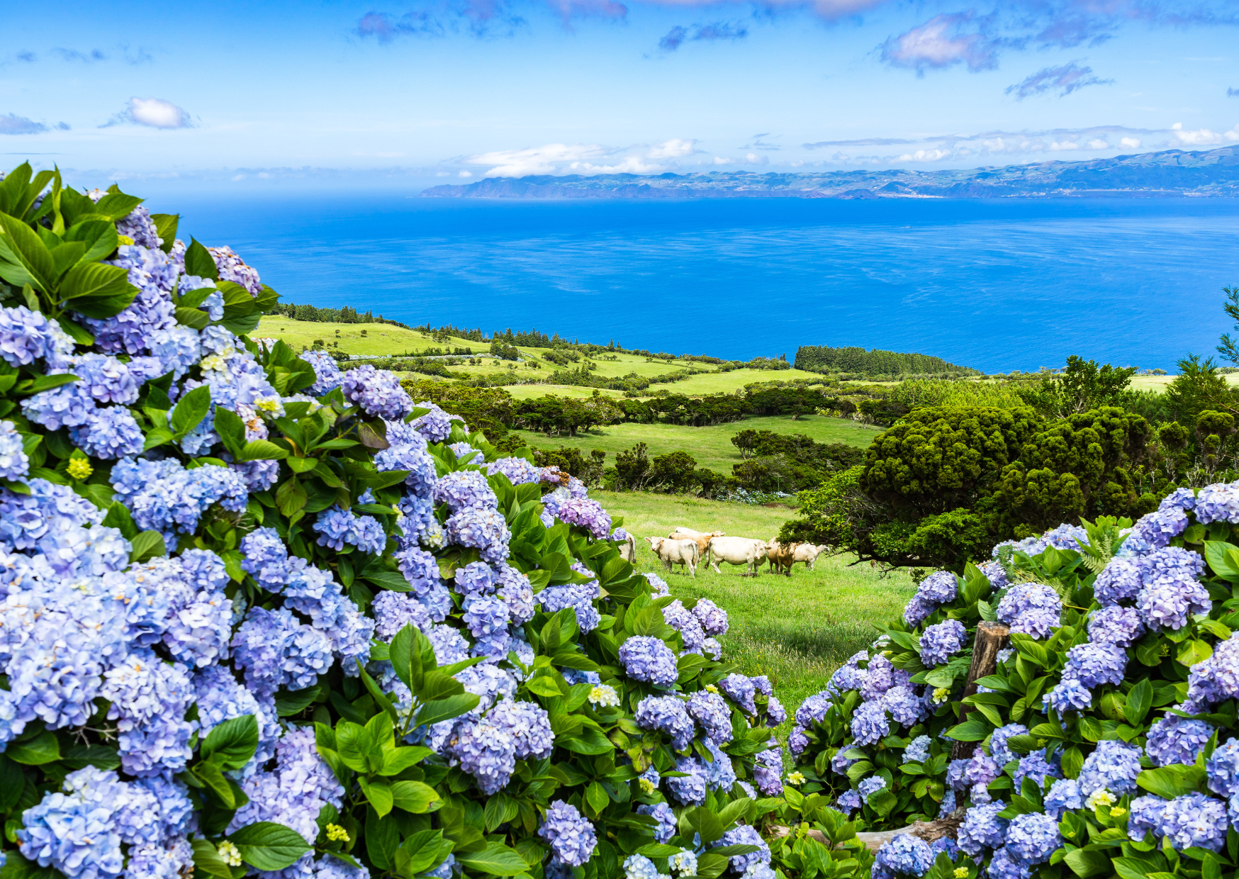 Portuguese Islands With Tax Breaks Americans Don’t Know About 3 Azores