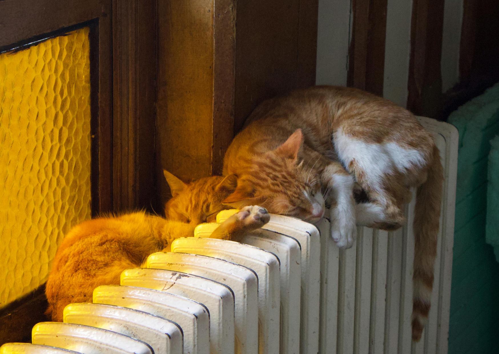 The Spanish Space Heater Hack That Beats Central Heating 3 Spanish heating 3