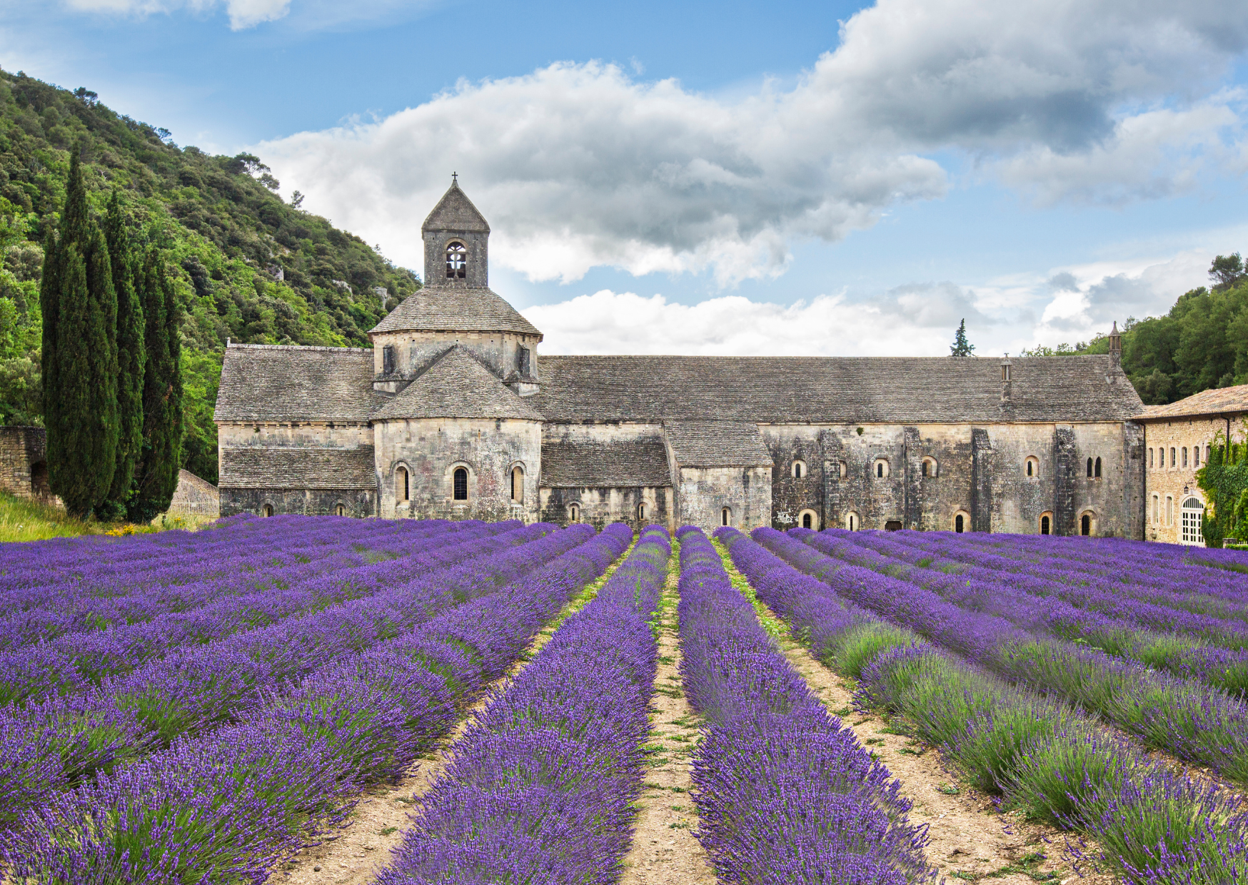 Why France Isn’t for Everyone: The 5 Reasons Texans Can’t Survive in France 3 Life in France 3