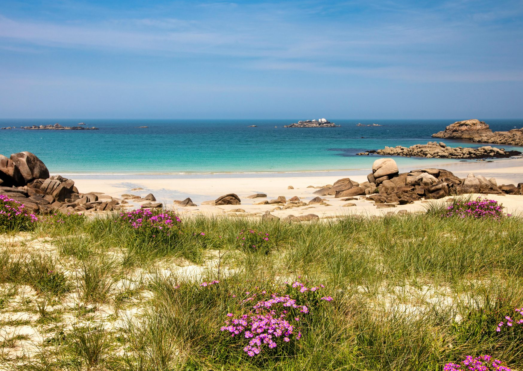 Why France Isn’t for Everyone: The 5 Reasons Texans Can’t Survive in France 8 Life in France 6