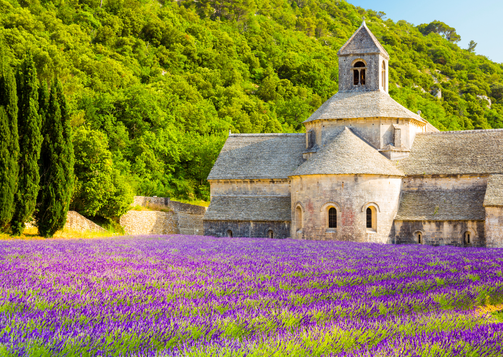 Why France Isn’t for Everyone: The 5 Reasons Texans Can’t Survive in France 4 Life in France
