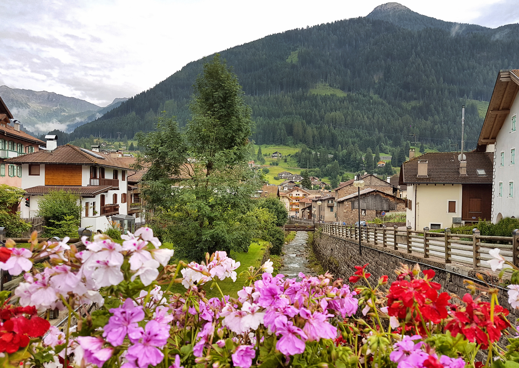 Why 4,000 Americans Are Moving to a Specific Italian Region Before January (and Why Only 500 Spots Are Left) 1 Trentino Italy