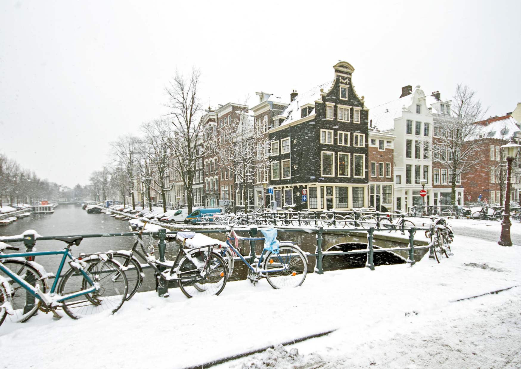 dutch winters 1