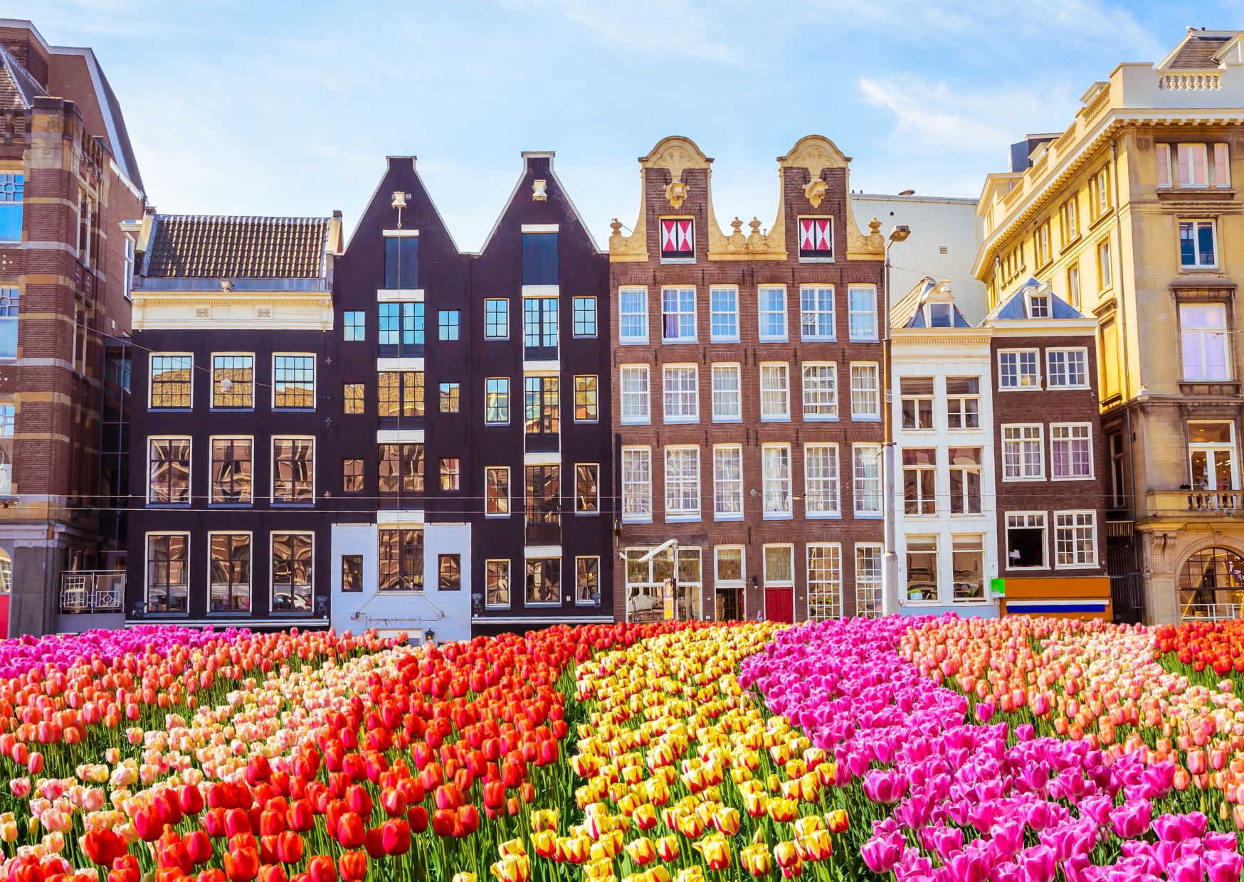 Americans Think They Look Like Great Tenants: The 4 Things Americans Do That Make European Landlords Nervous 2 european landlords 3