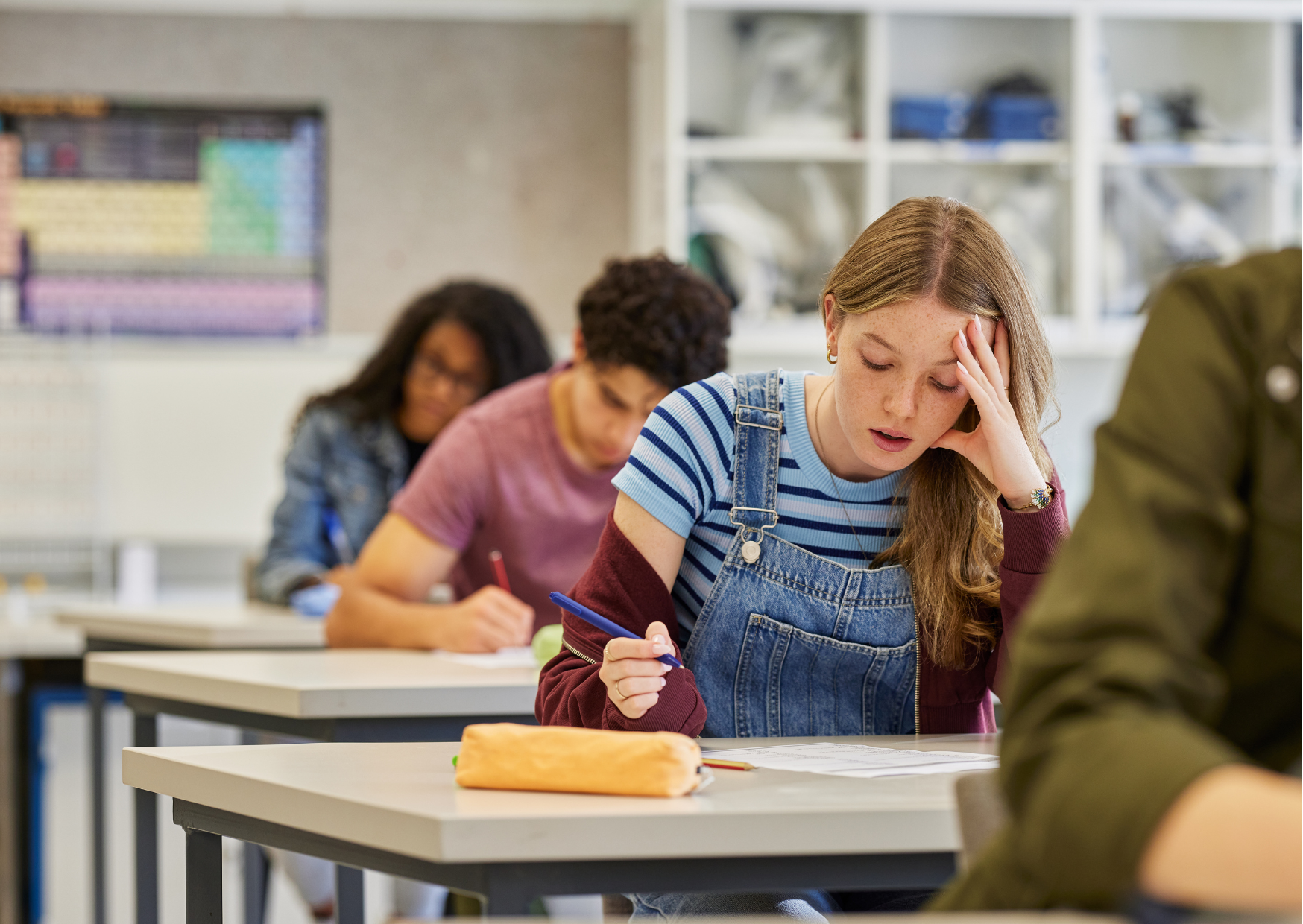 How Spain Forces American Kids Into Public School, No Religious Exemption 2 studying in Spain 5