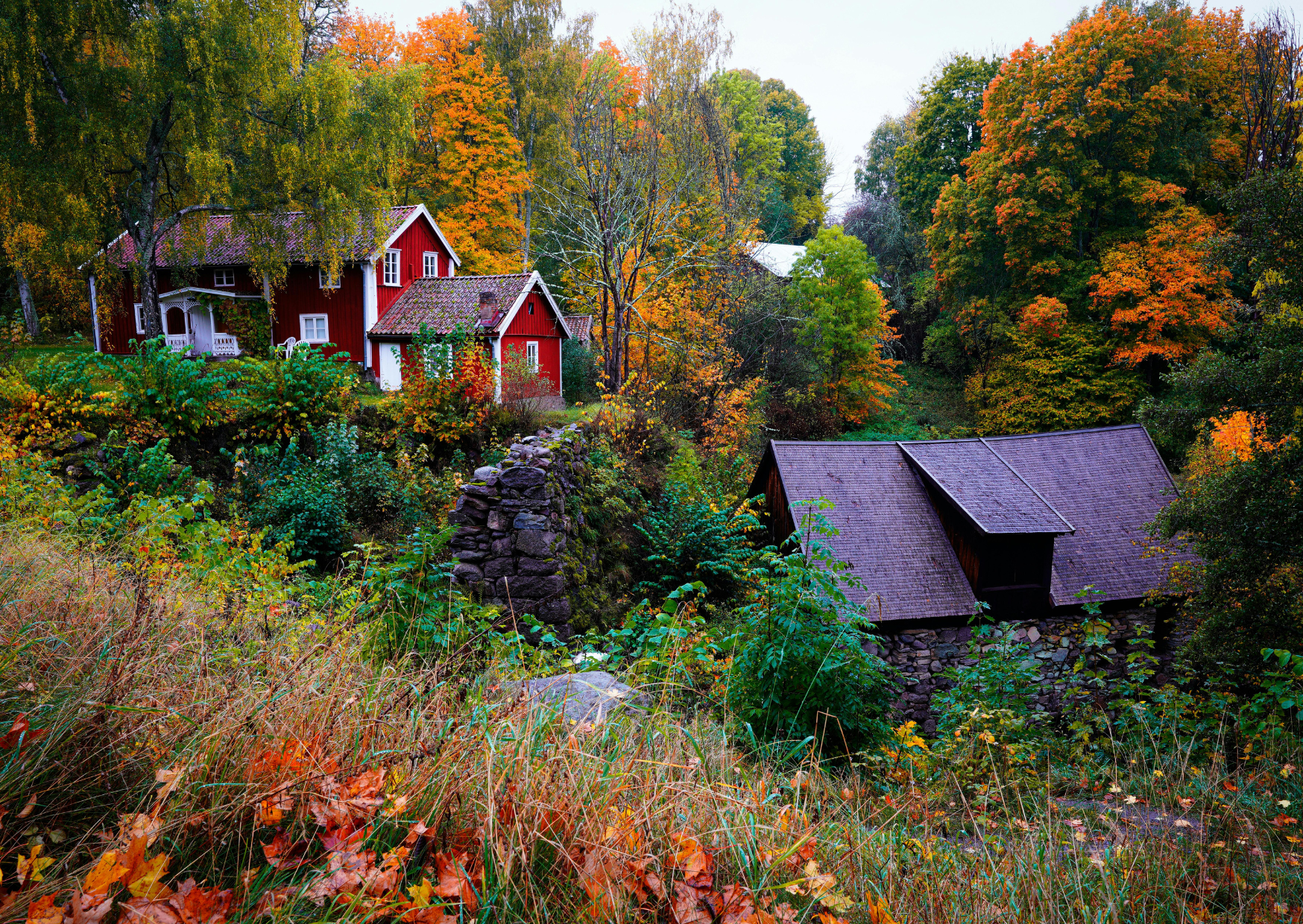 I Followed Swedish Work-Life Balance for 30 Days - Earned 20% More Working 6 Hours Daily 1 swedish 4