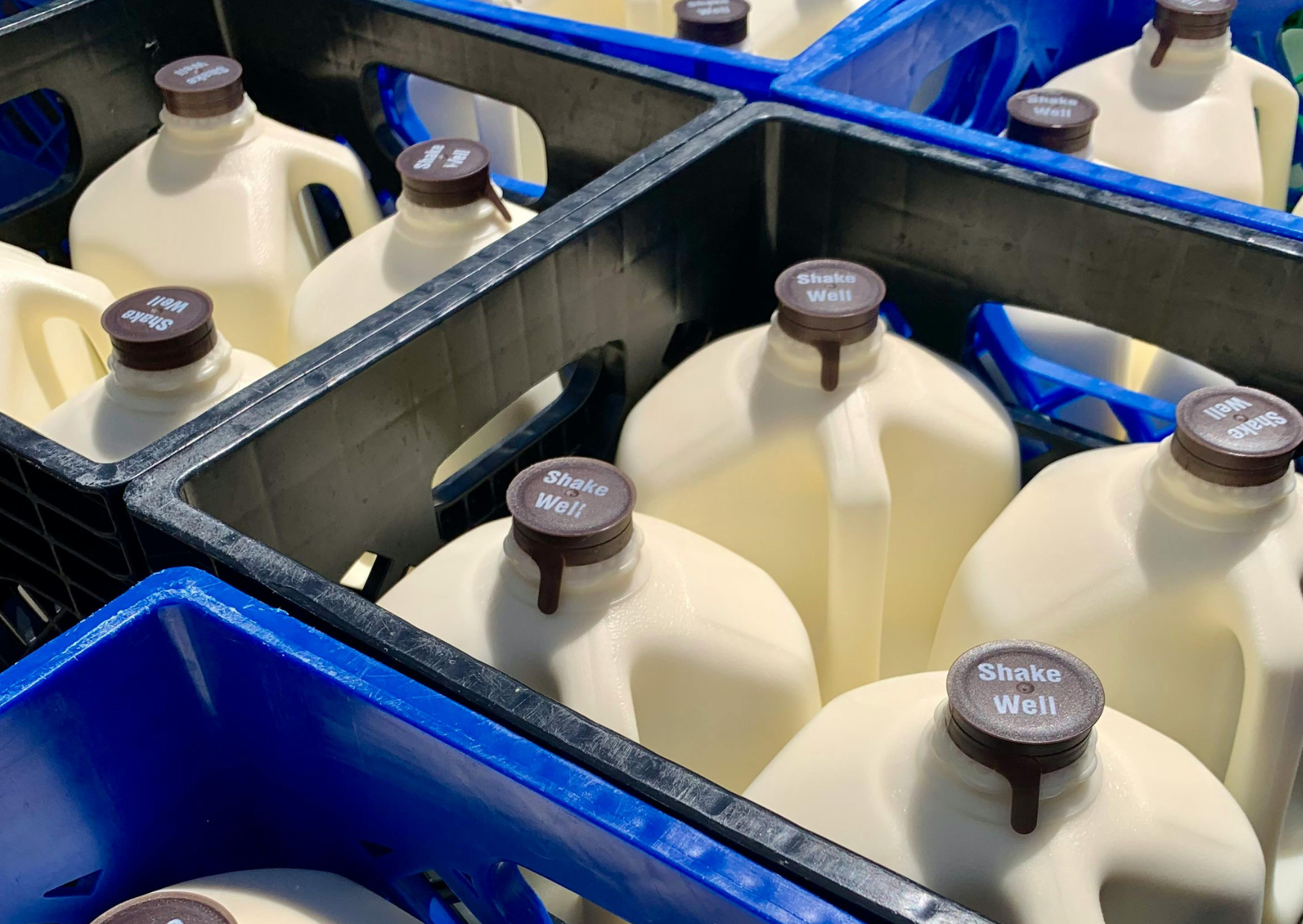The 60-Day Dairy Experiment That Changed My Weight and Allergy Symptoms: I Quit American Dairy for 60 Days and Switched to European And I Went Down 22 Pounds 1 American dairy