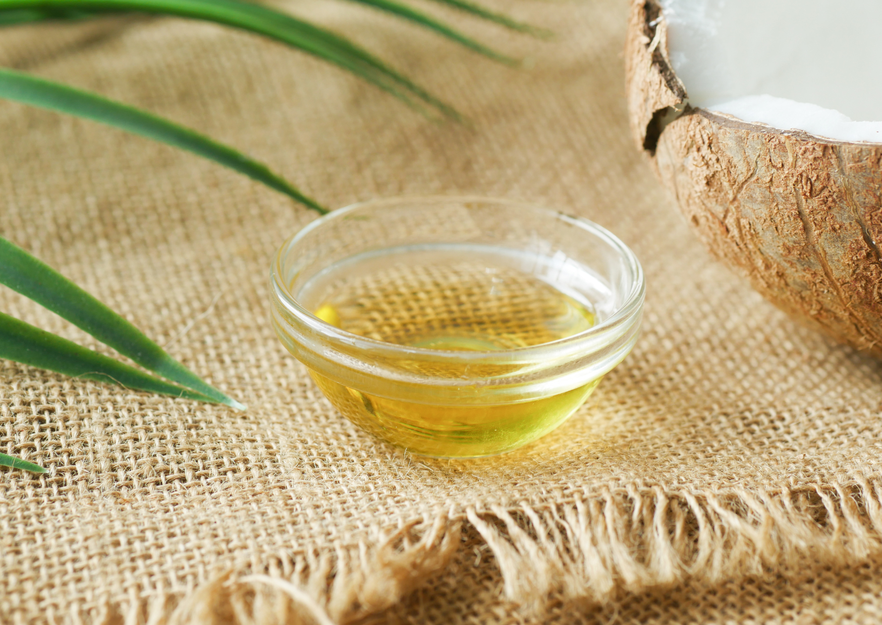 60 Days Without U.S. Cooking Oils Changed My Health 3 healthy cooking oils 6