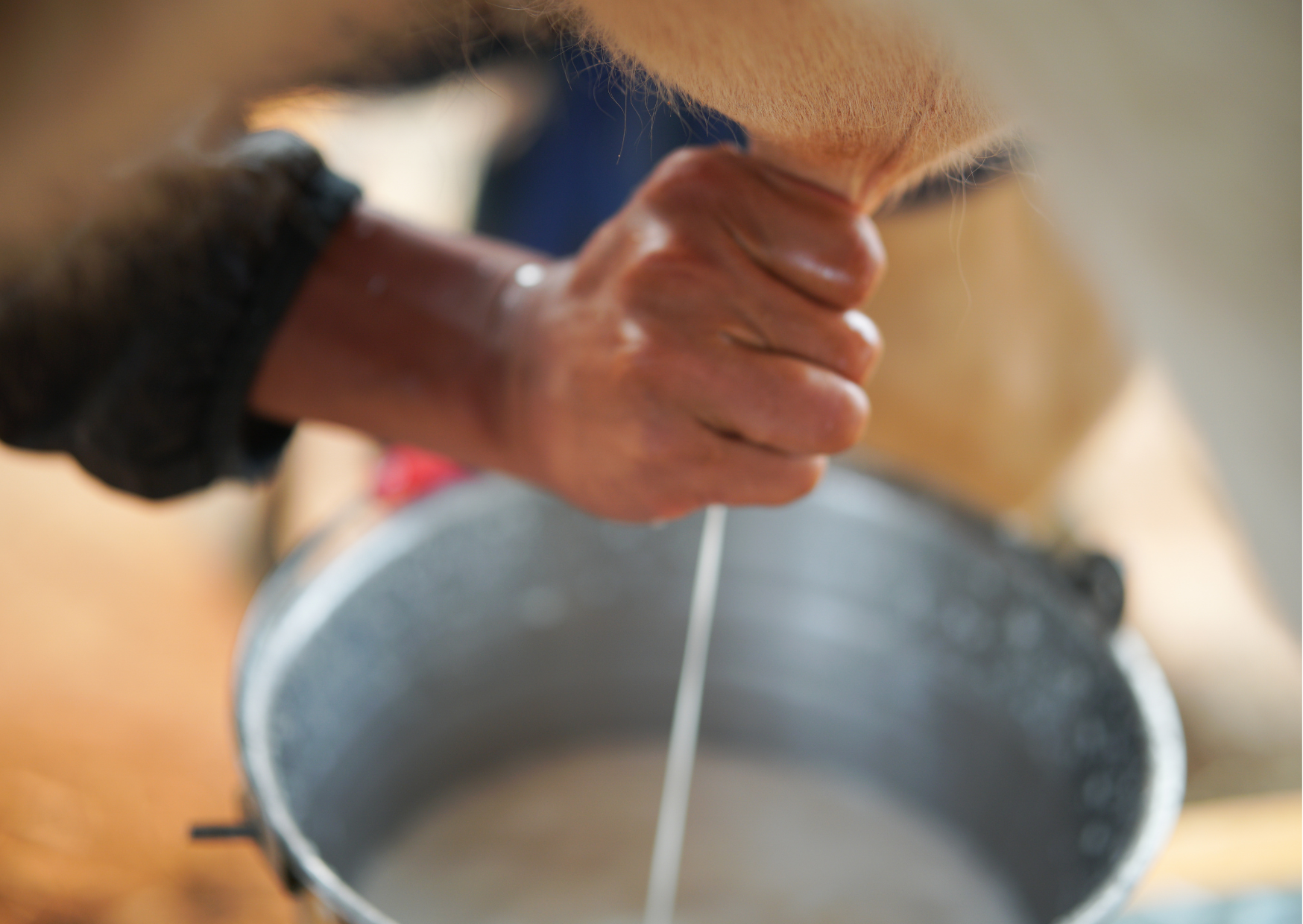 What Happened When I Swapped American Milk for European Alternatives for 60 Days 3 milk in Spain 3