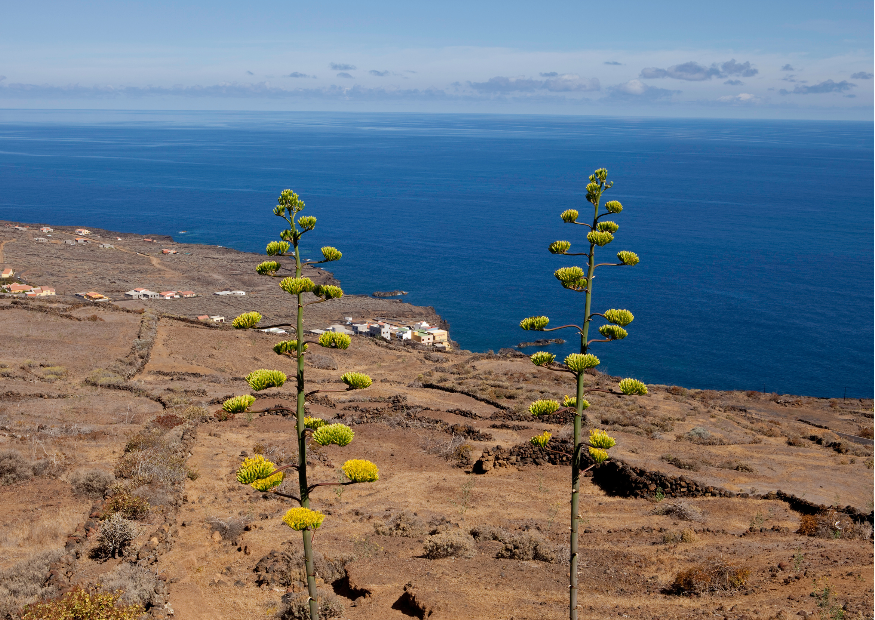 Best Hidden Canary Island for Mild Weather in Spain: Everyone Talks About Tenerife But This Island Is the Real Flex 3 El Hierro 3