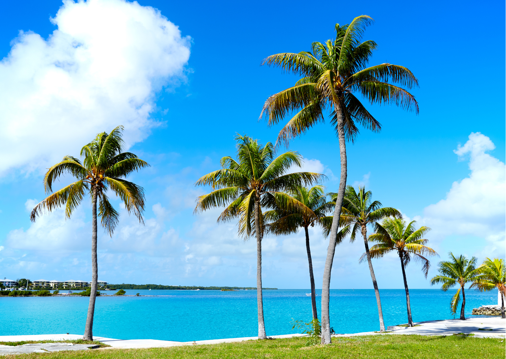 Can Retiring to the Beach Backfire? Yes And 58% of Americans Who Retire to the Beach Return to the Mountains Within 18 Months 4 living in the beach 2