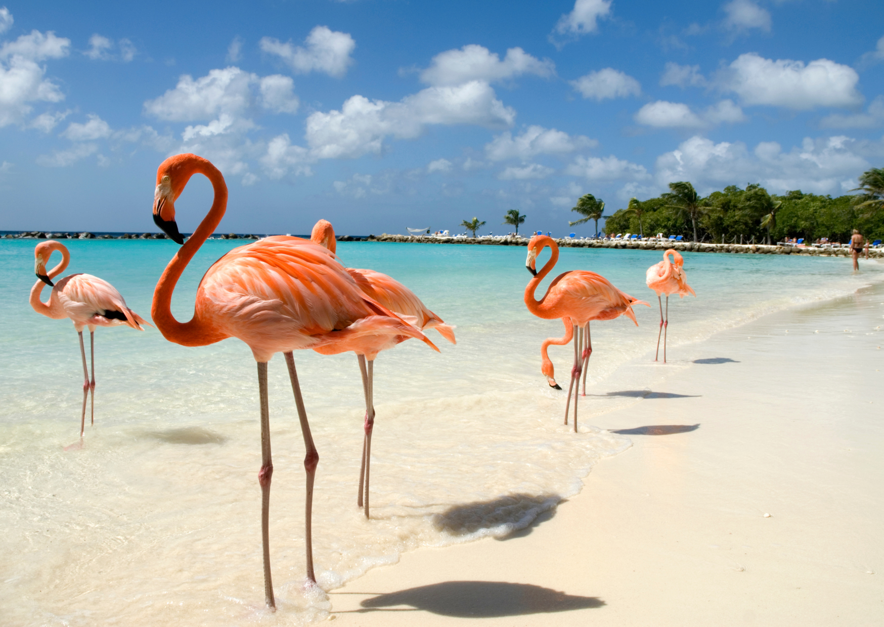 5 Caribbean Countries With European Residency Pathways Americans Miss 2 Carribean Aruba