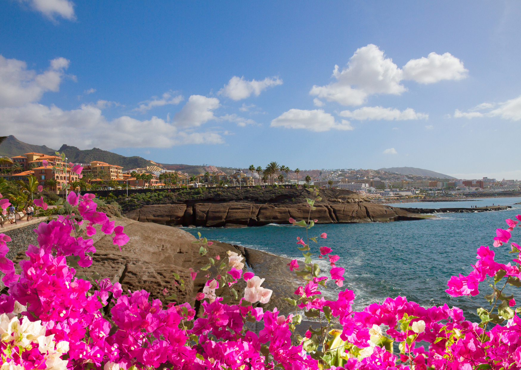 Why We Moved to Tenerife Instead of Lisbon And Never Looked Back 7 Tenerife 3 1