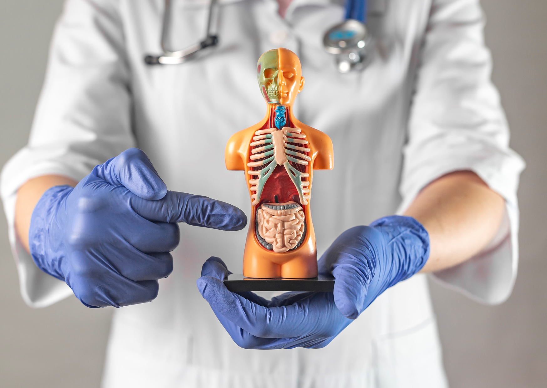 Same Colonoscopy €80 In France $4,200 In America 2 colonoscopy 3