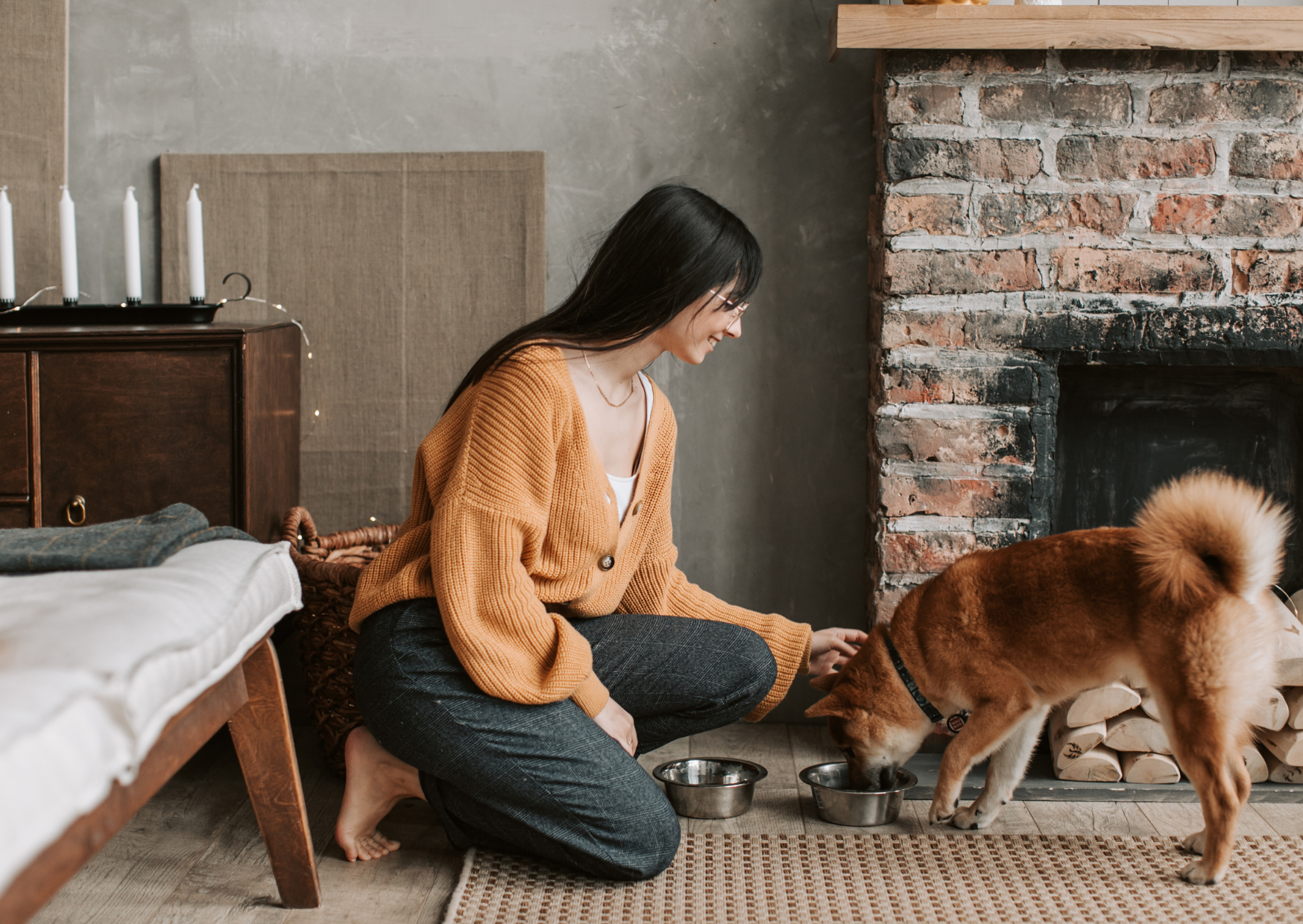 House Sitting in Europe at 60: What The Free Accommodation Part Leaves Out 5 house sitting 2