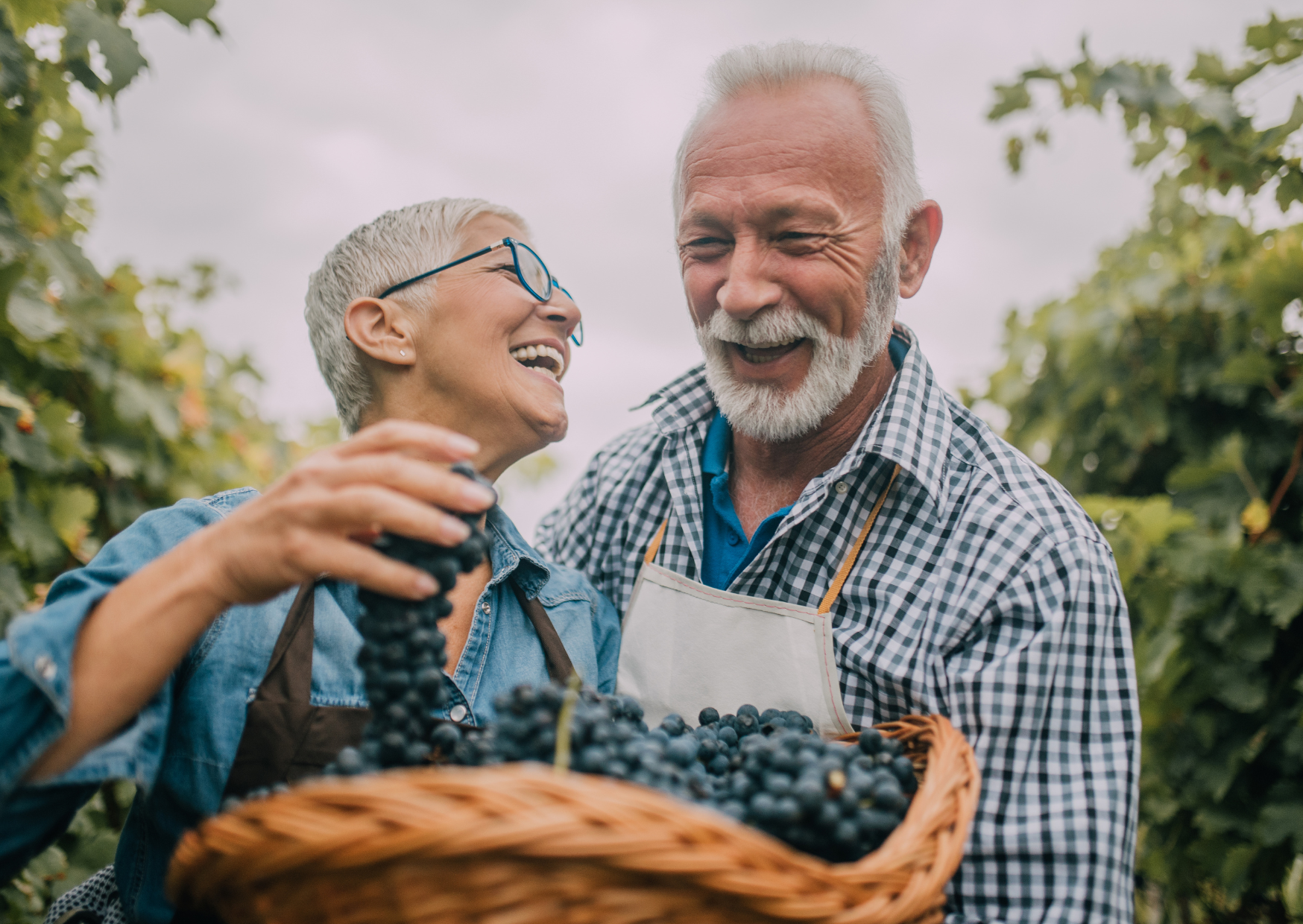 old people in Spain 6