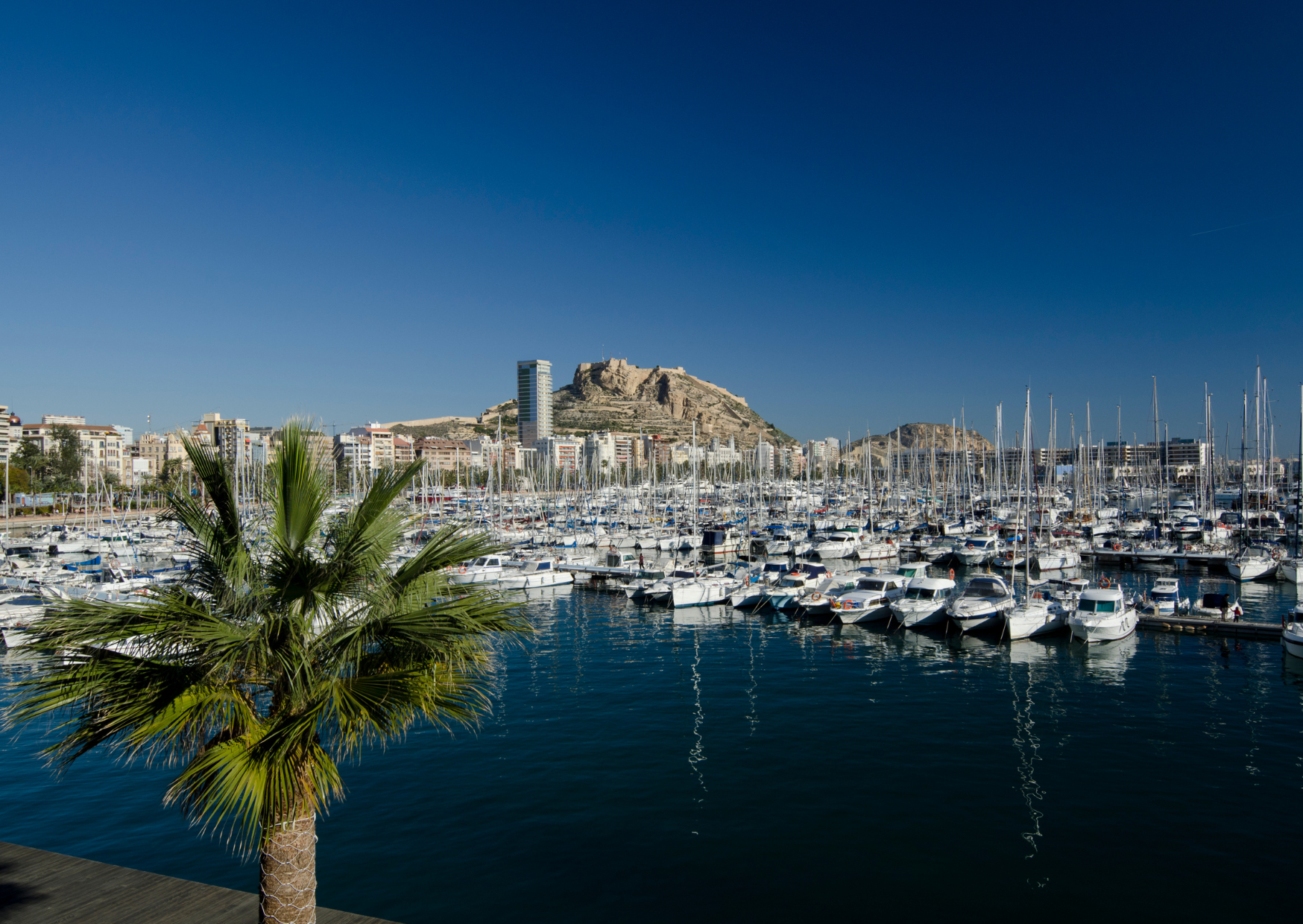 North Carolina Retirees Moved to Spain With $320,000: The Balance at Month 18 1 Alicante 6