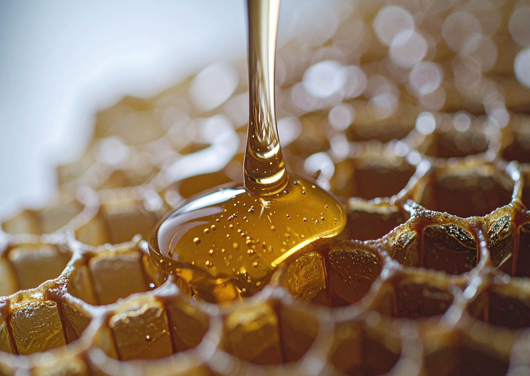 The Fake Honey Problem Hiding on American Grocery Shelves 2 honey 4