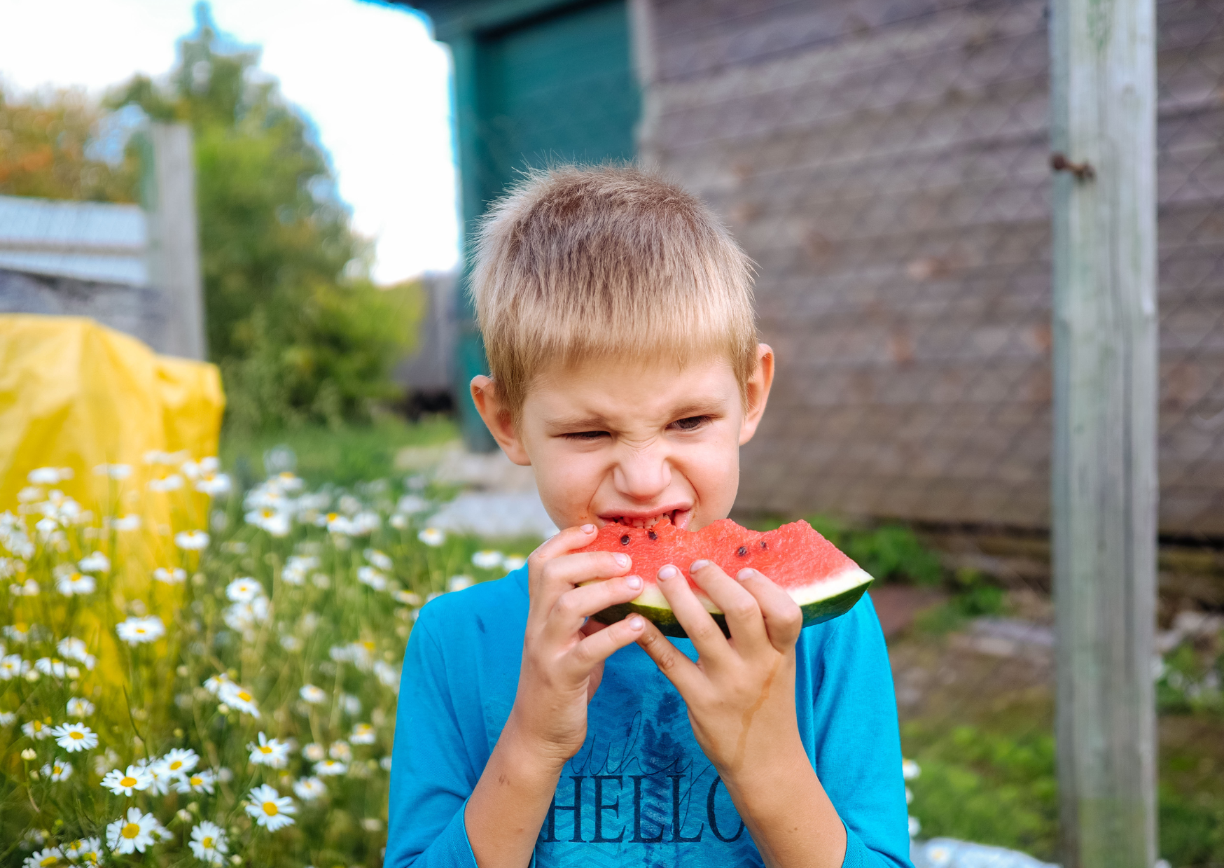 Greeks Pair Watermelon With Feta All Summer: The Salt-Sweet Rule Americans Reserve for Caramel 3 Watermelon with Feta 6