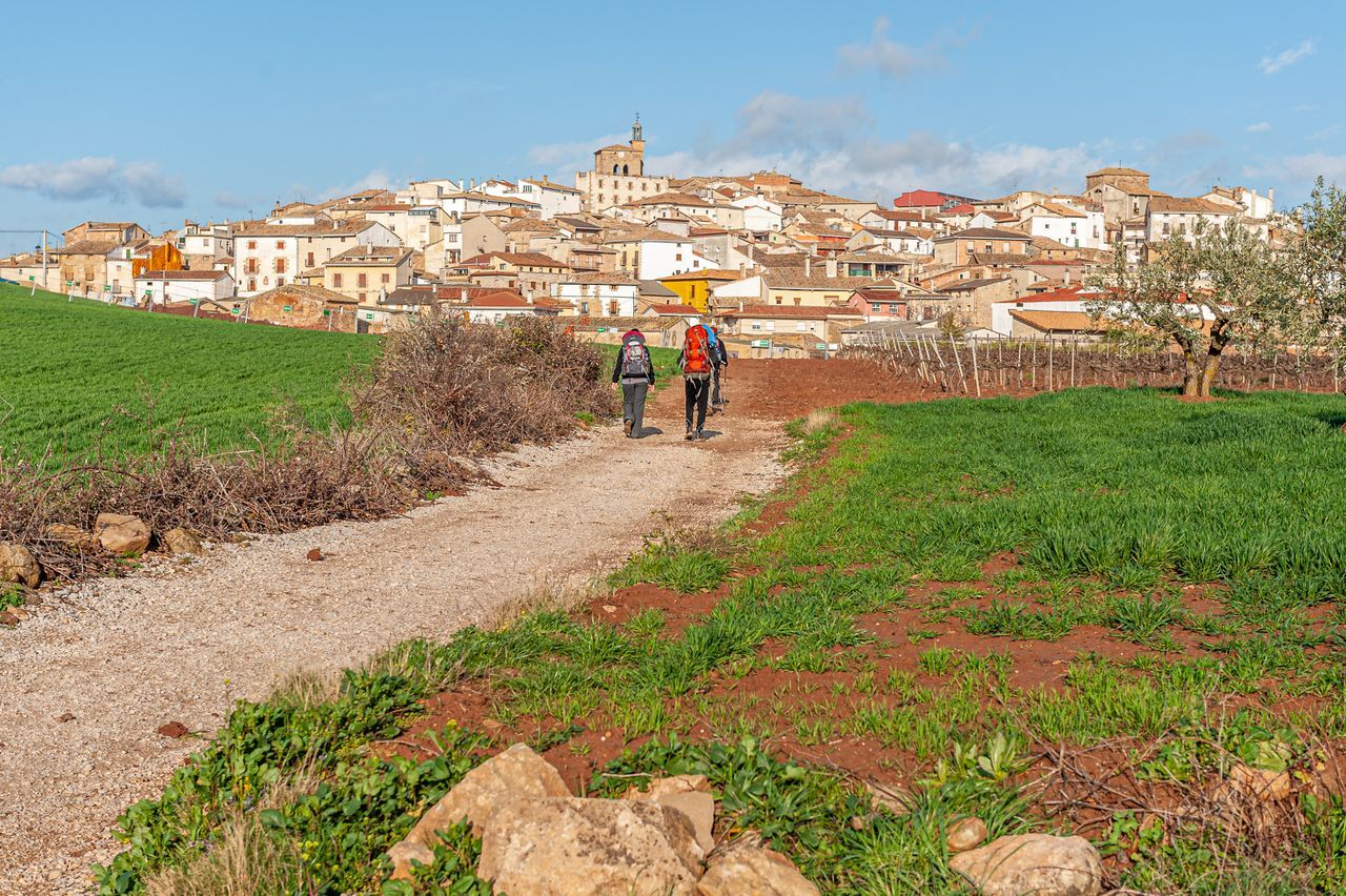 Which Camino de Santiago Route Should You Choose in 2026? 1 camino de santiago